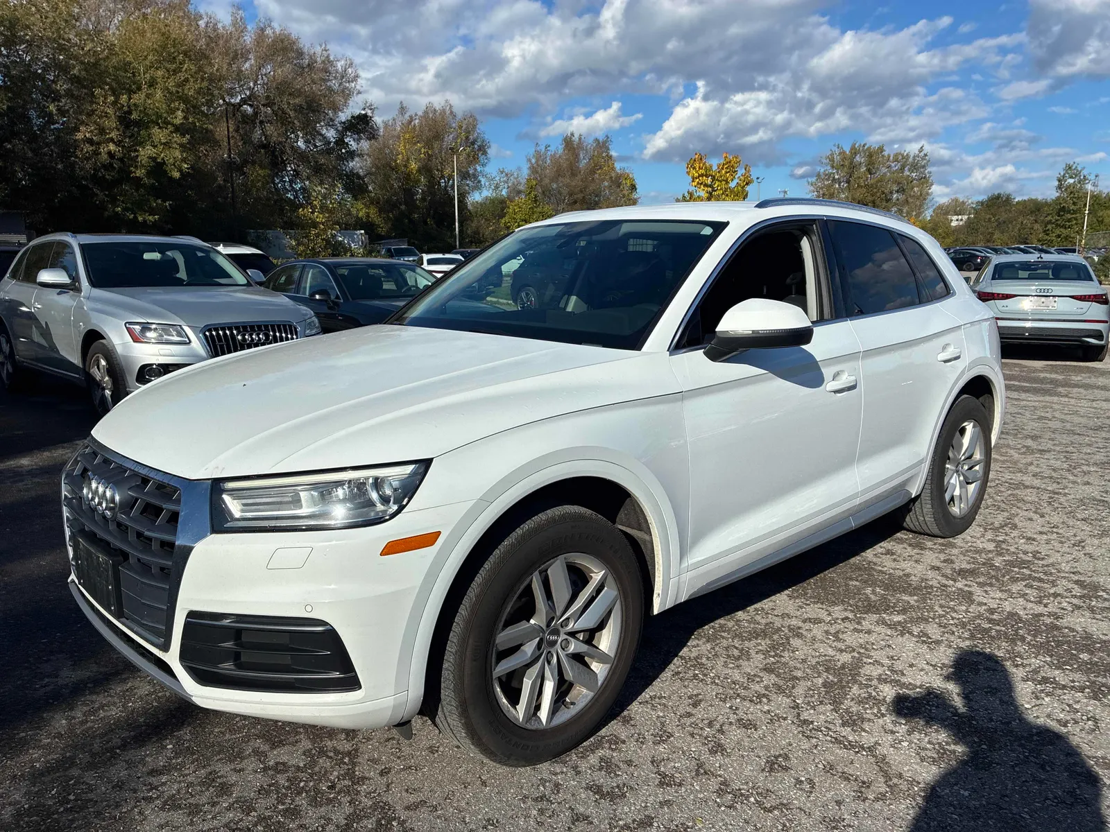 2019 Audi Q5
