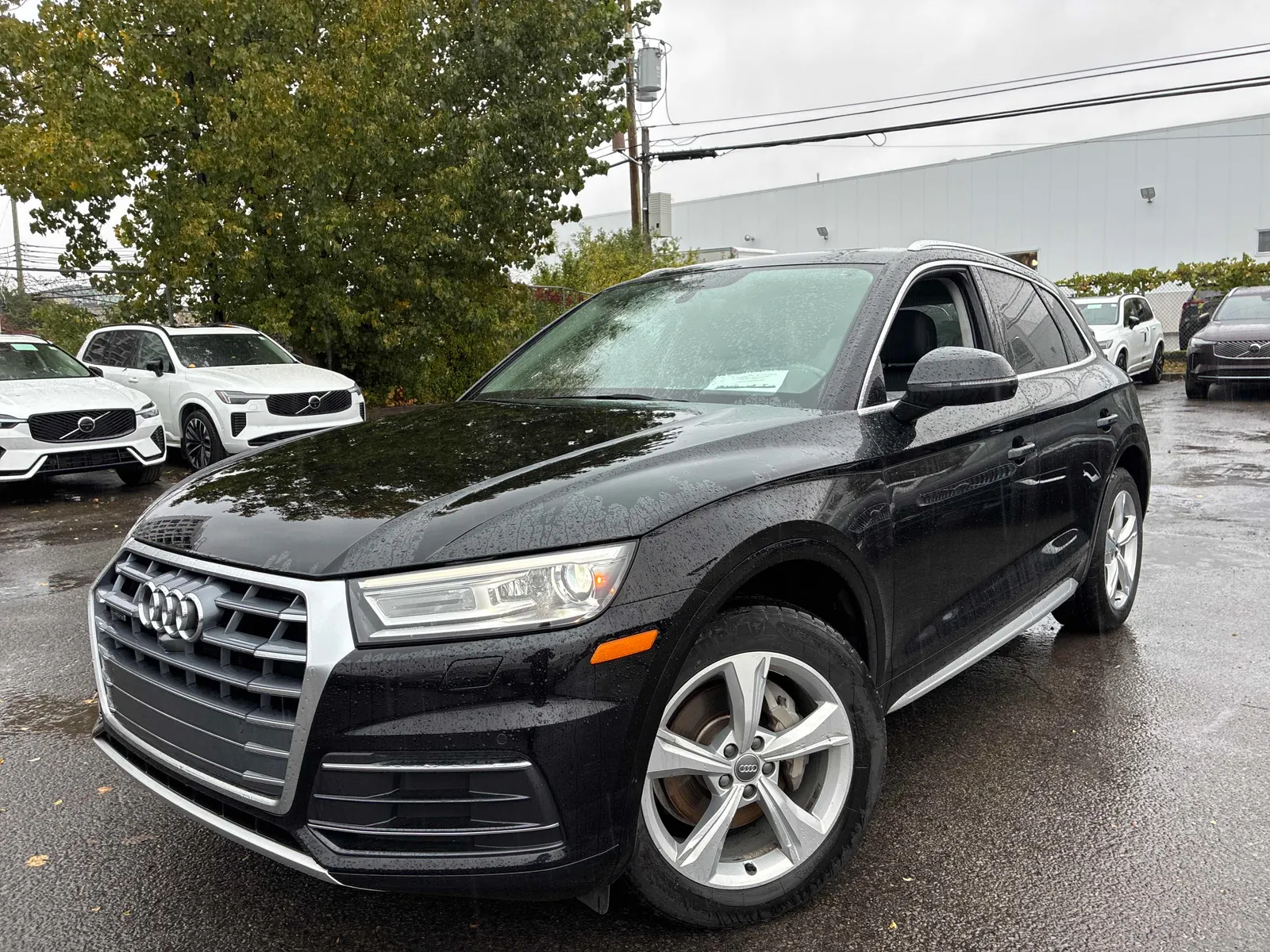 2019 Audi Q5