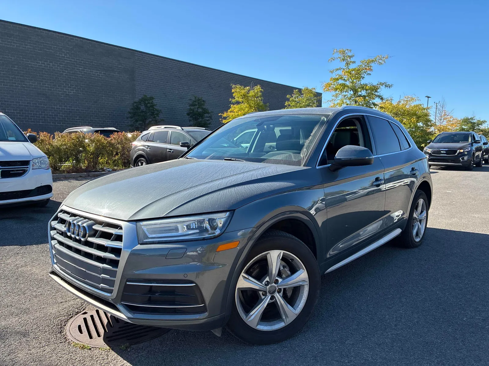 2019 Audi Q5