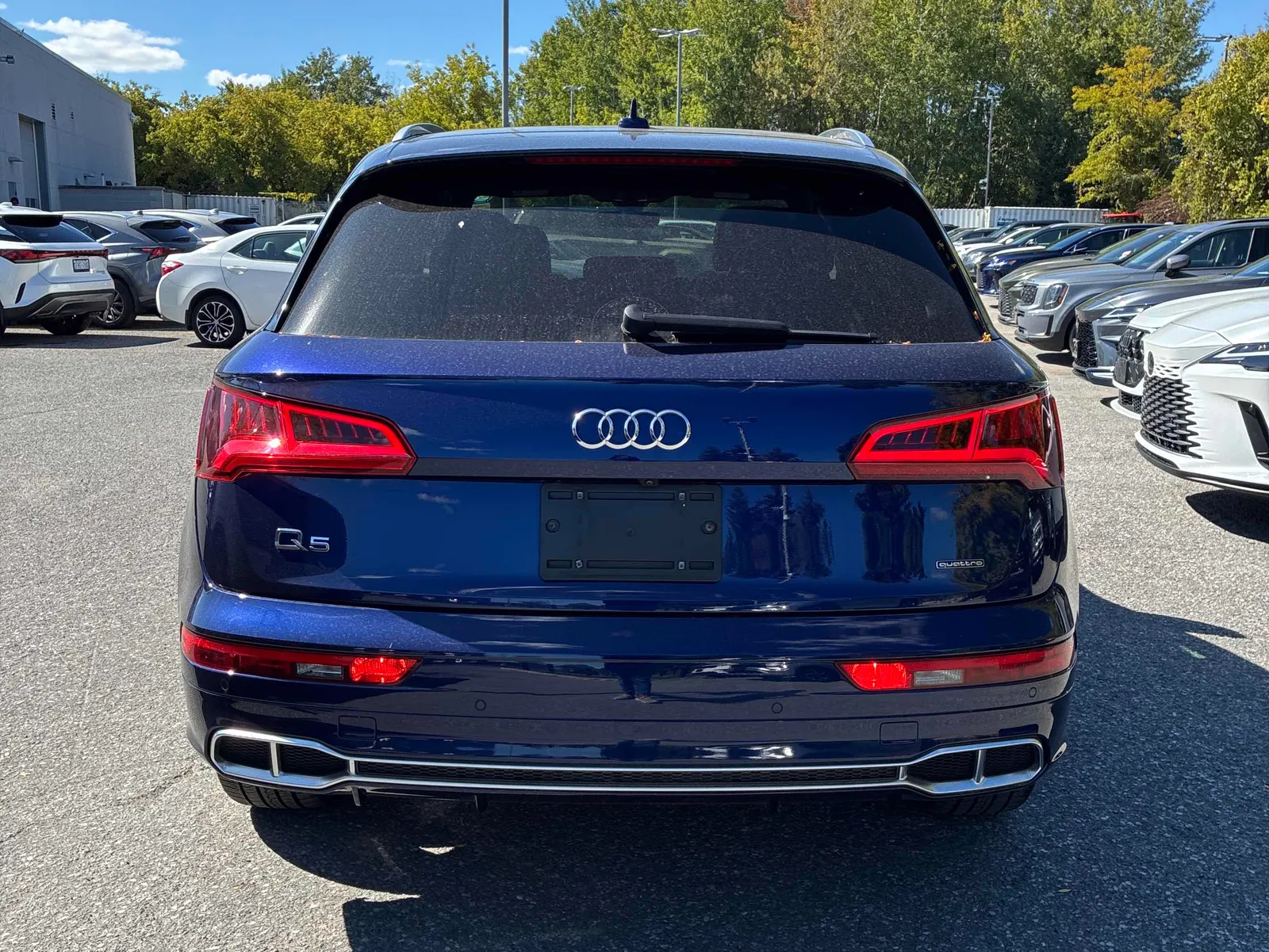 Back