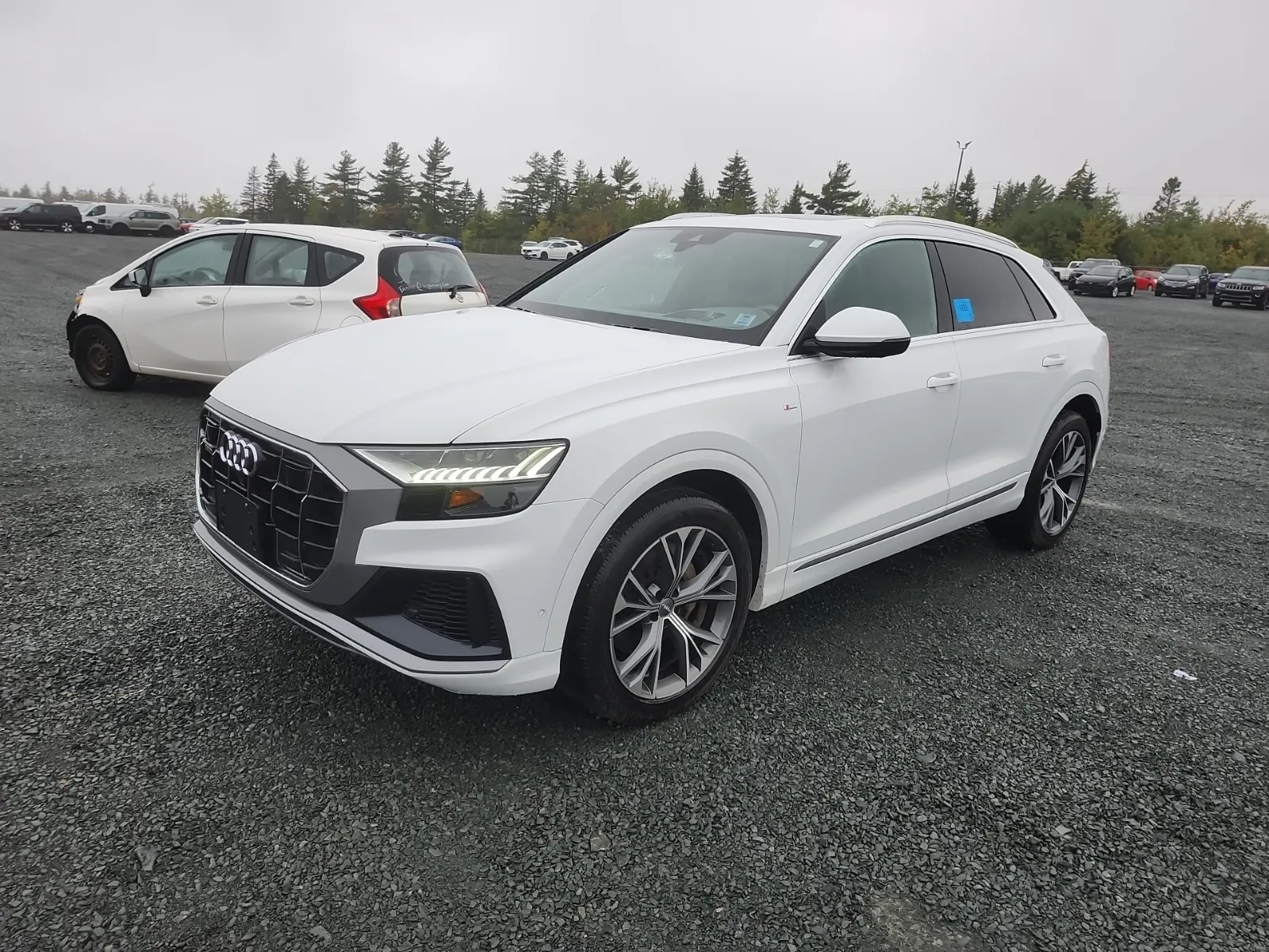 2019 Audi Q8