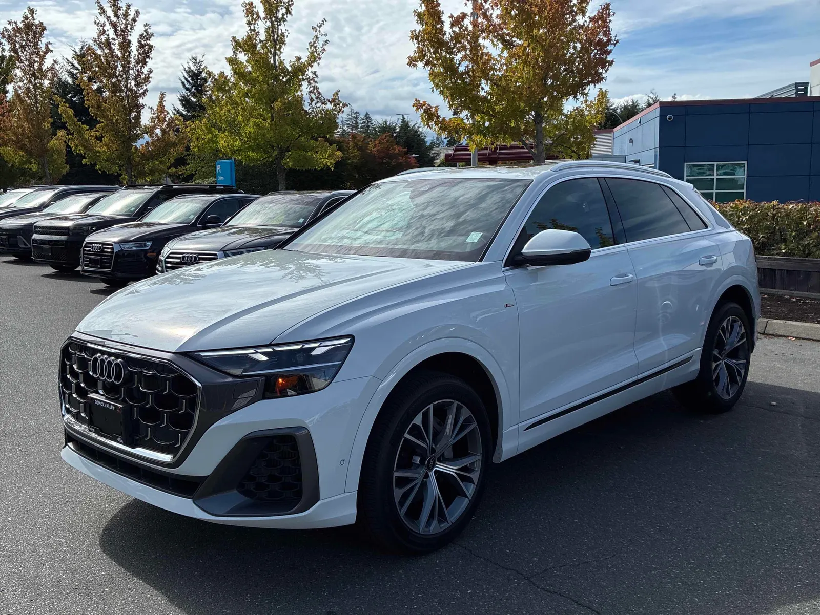 2025 Audi Q8