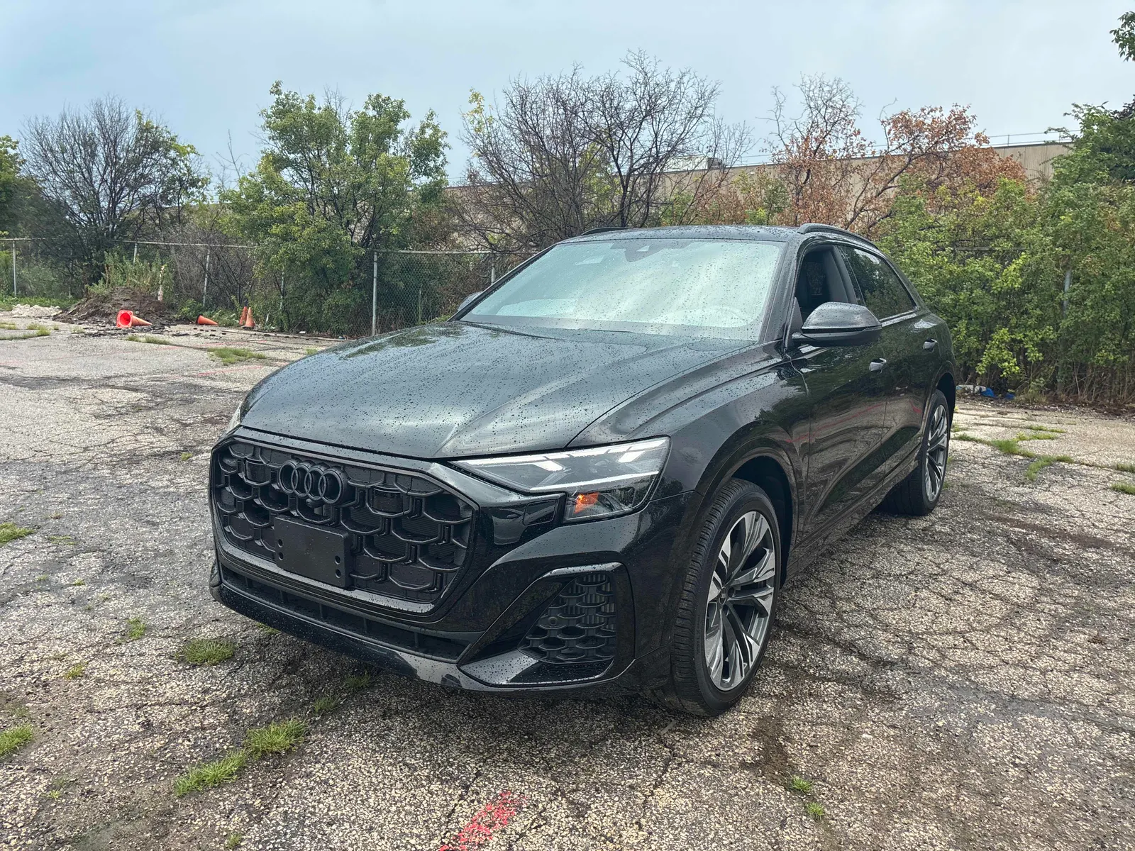 2025 Audi Q8