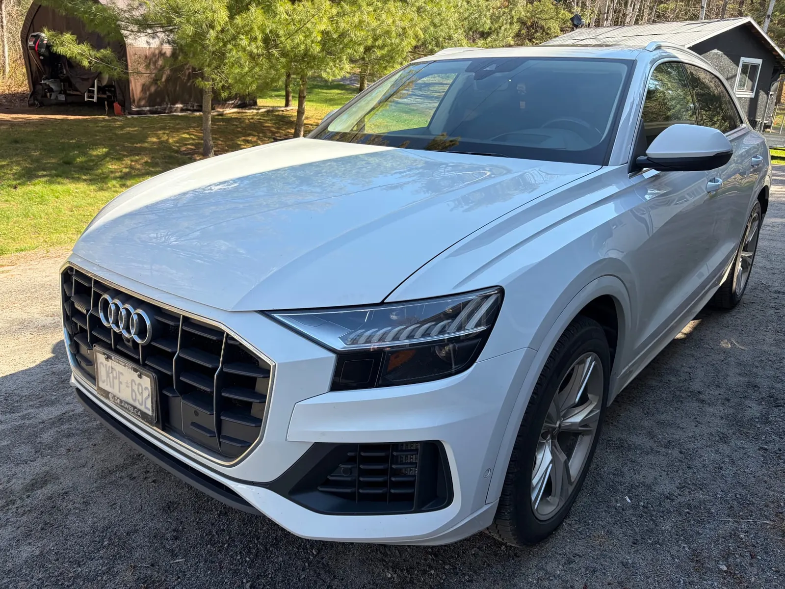 2019 Audi Q8