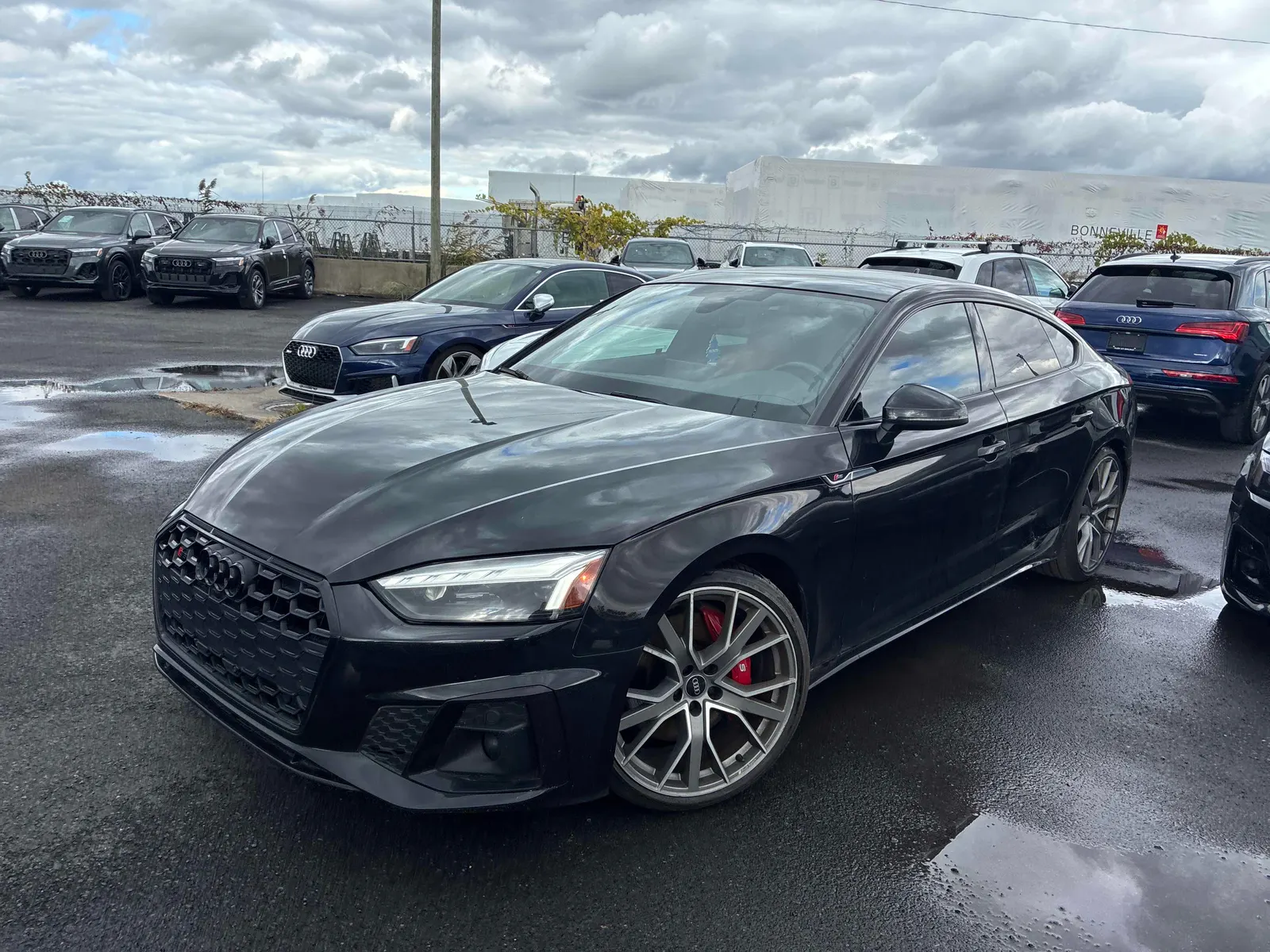 2022 Audi S5 Sportback