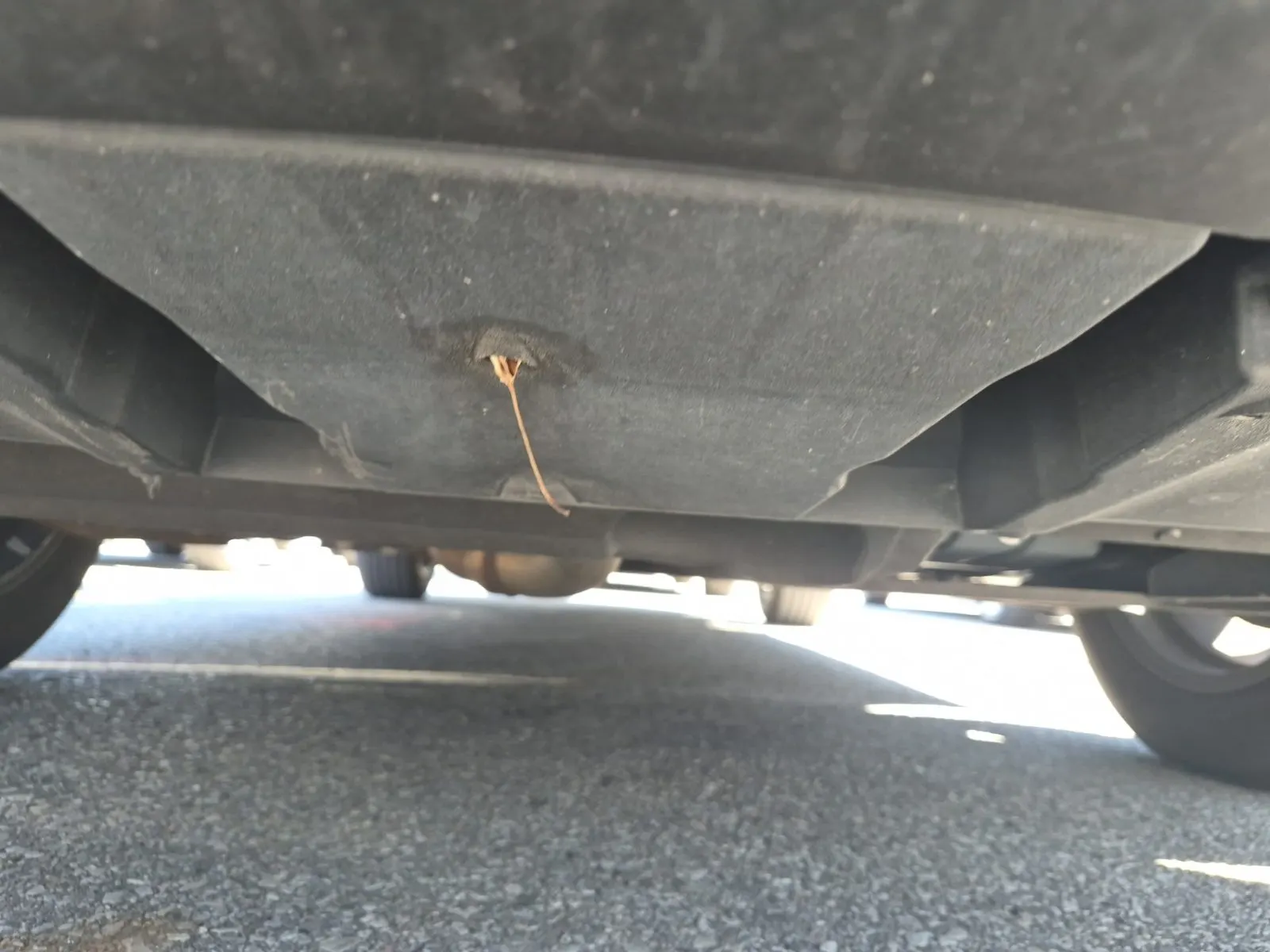 Undercarriage - Front Photo