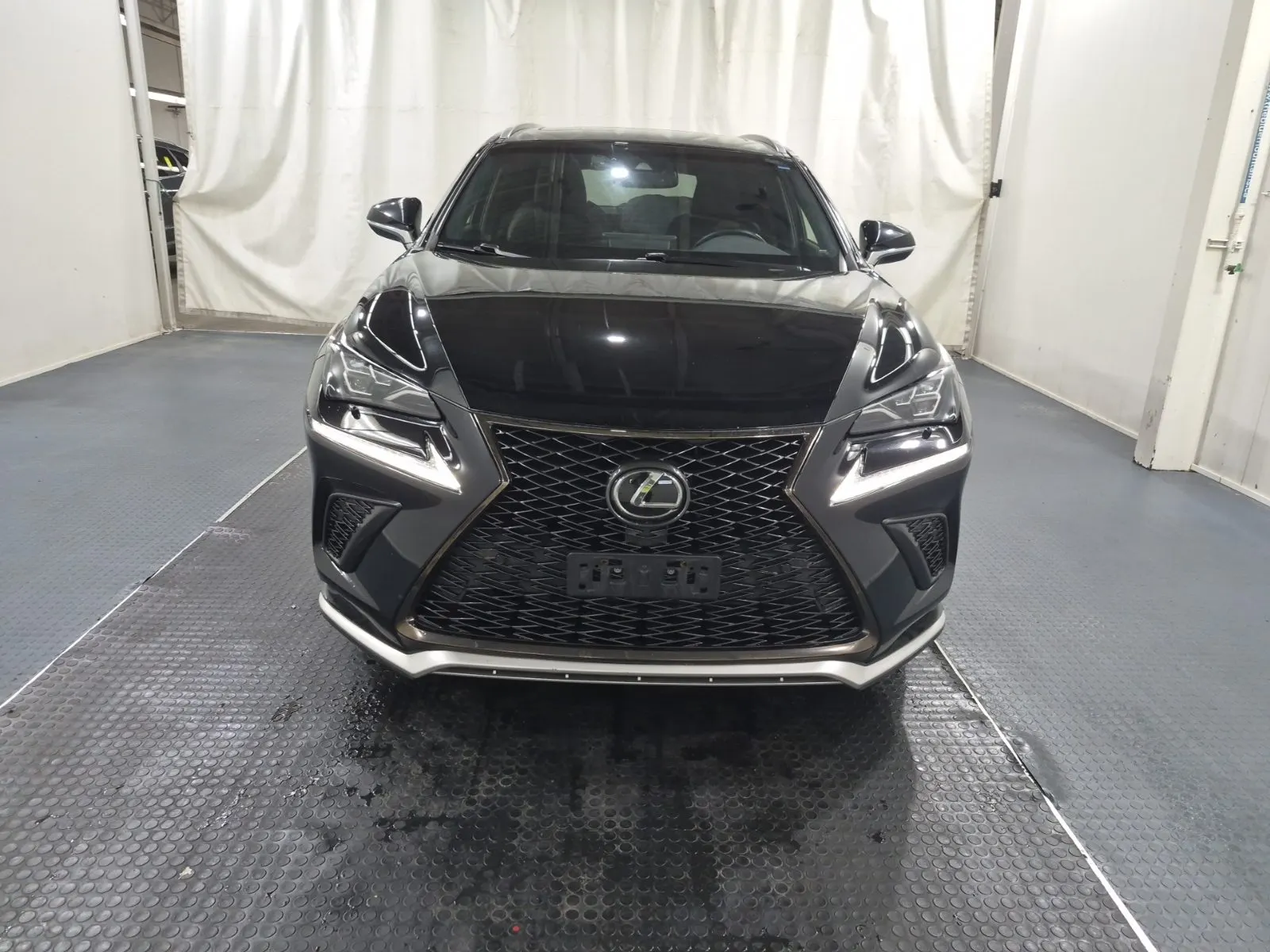 Full Front Photo