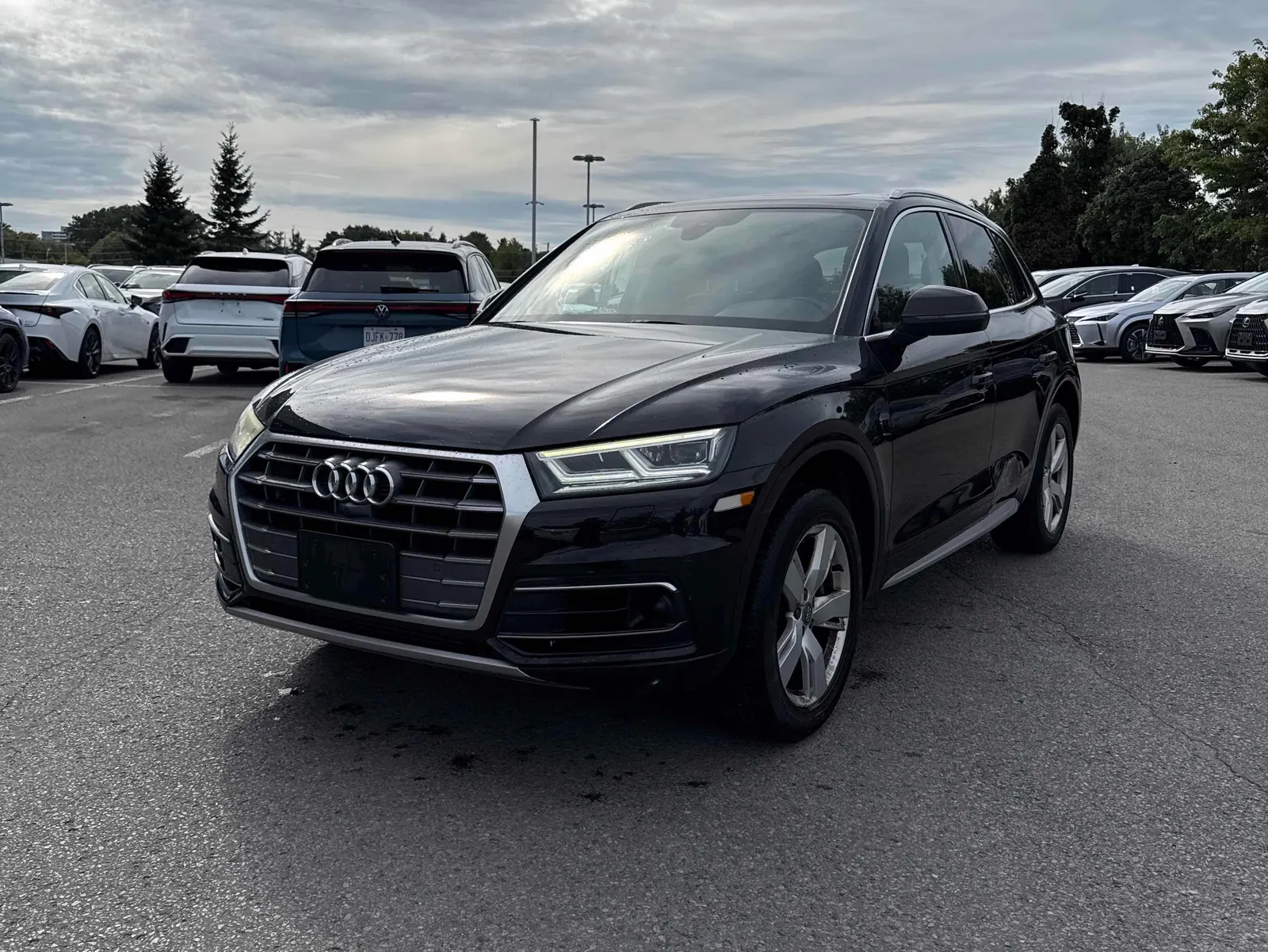2019 Audi Q5