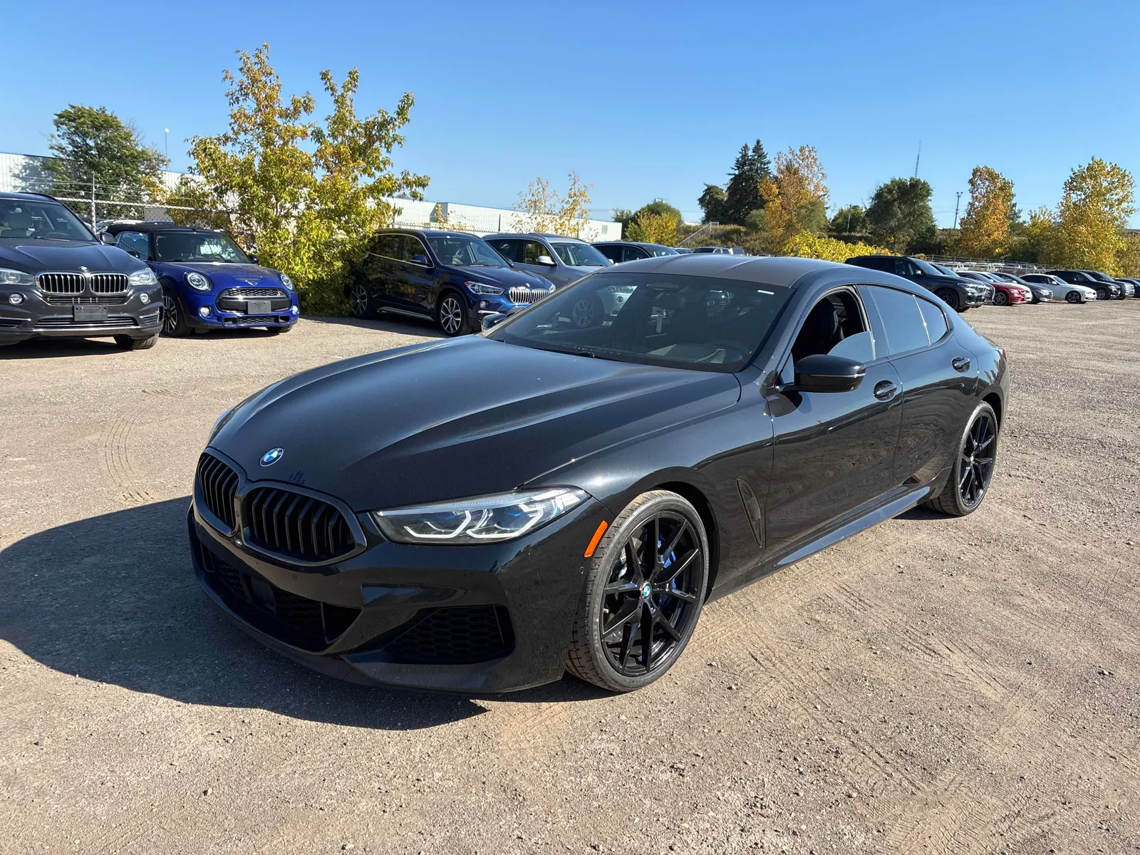 2021 BMW 8 Series