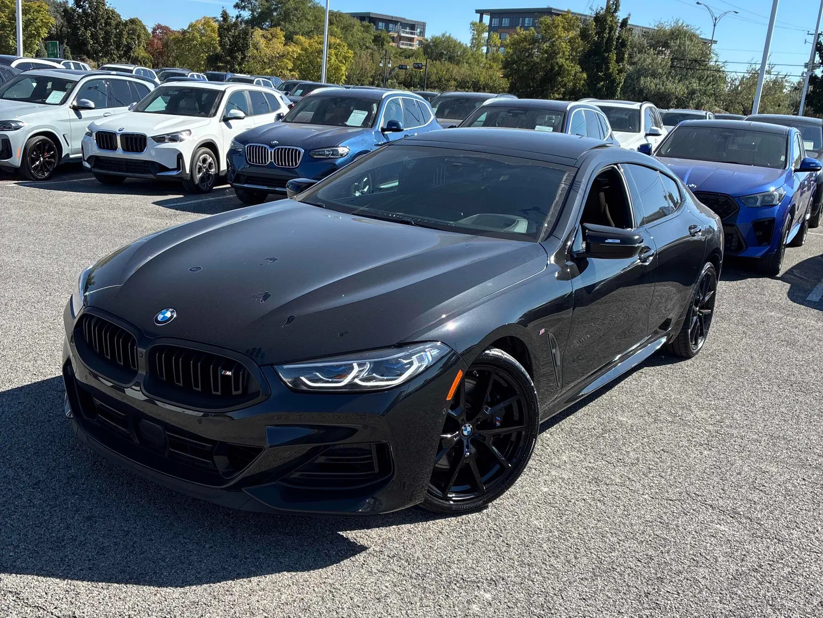2024 BMW 8 Series