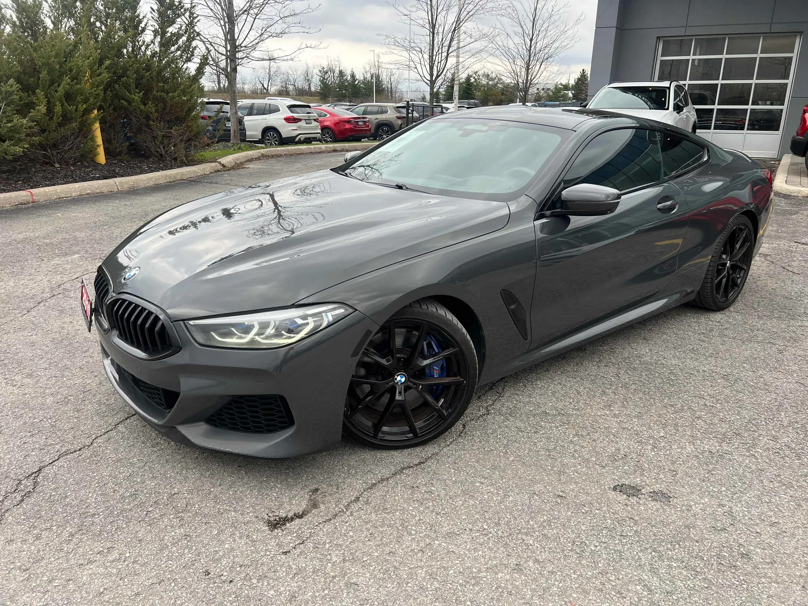 2019 BMW 8 Series