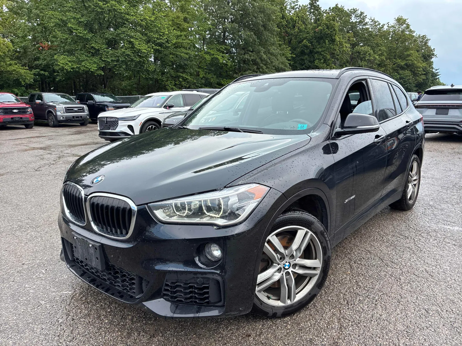 2017 BMW X1