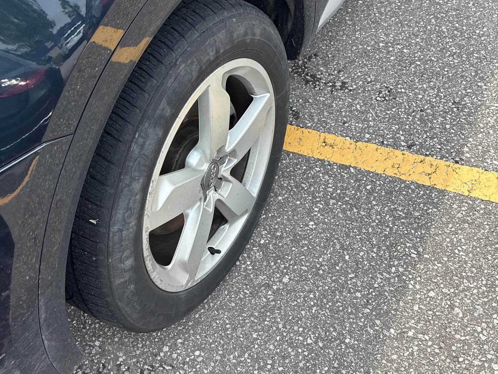Additional Photo