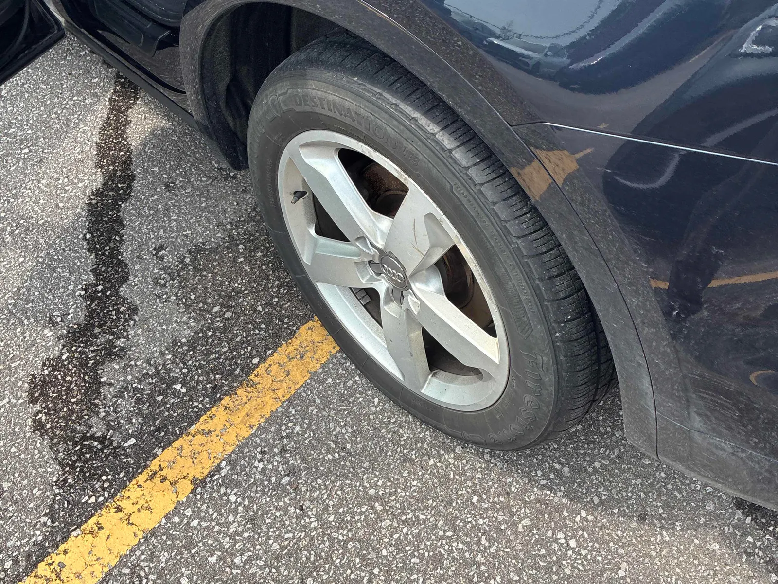 Additional Photo