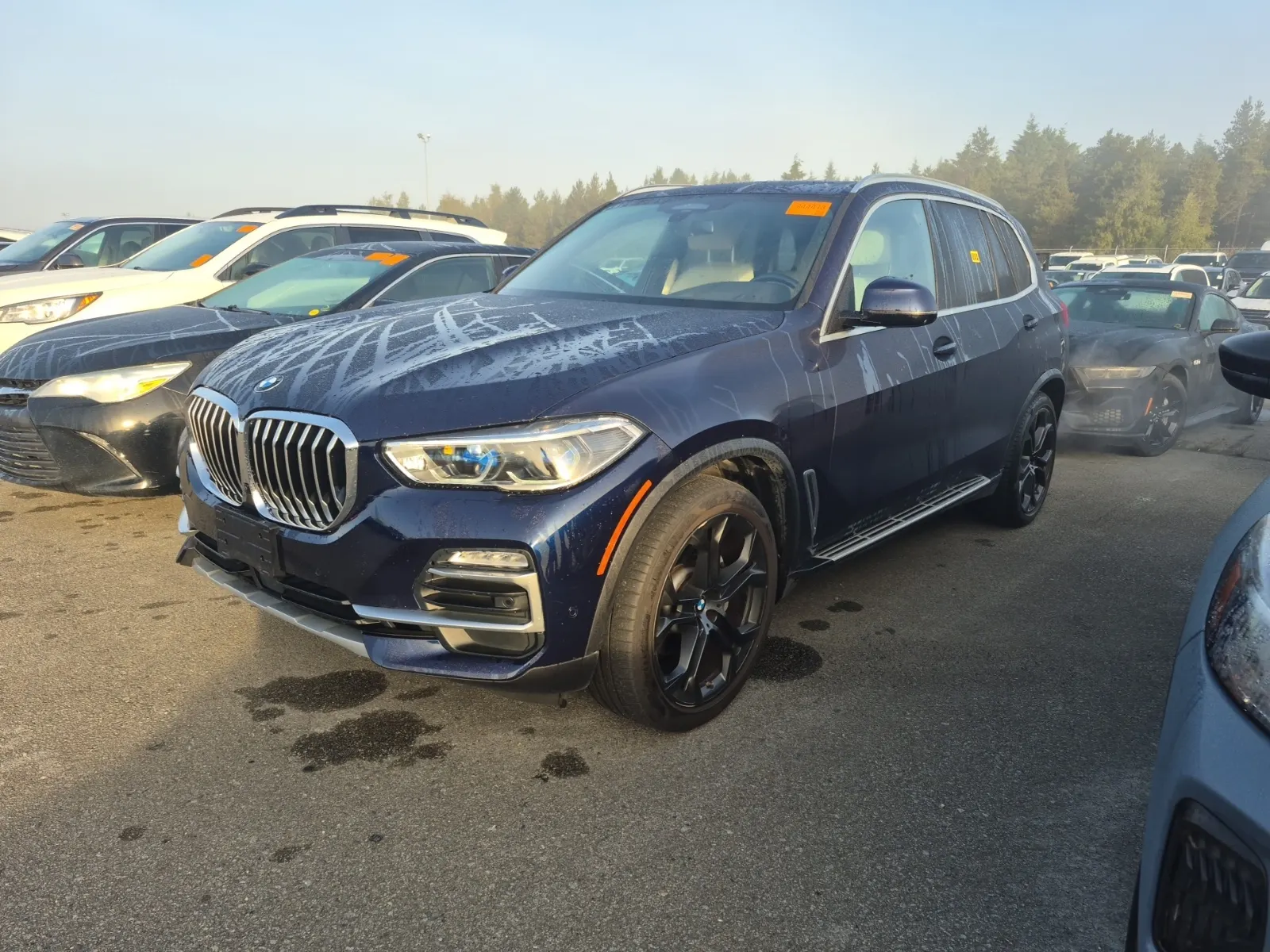 2021 BMW X5