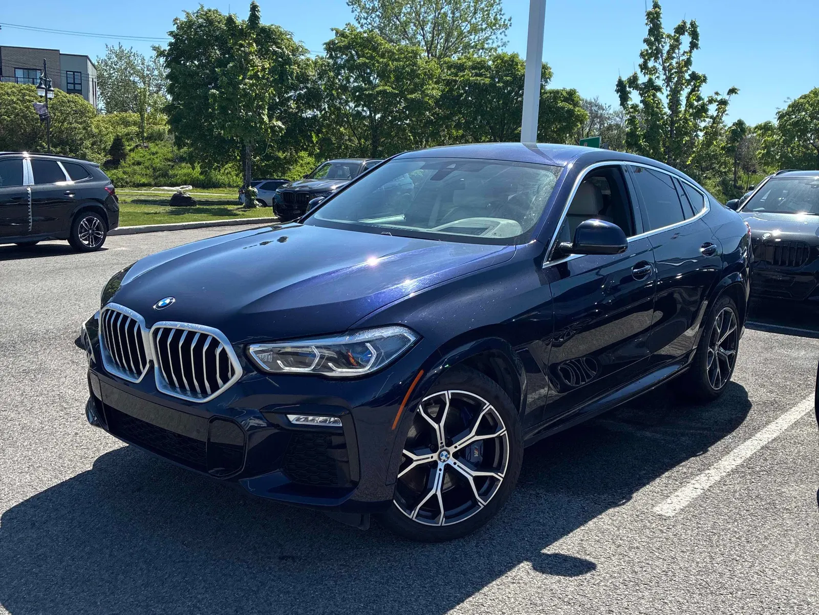 2020 BMW X6