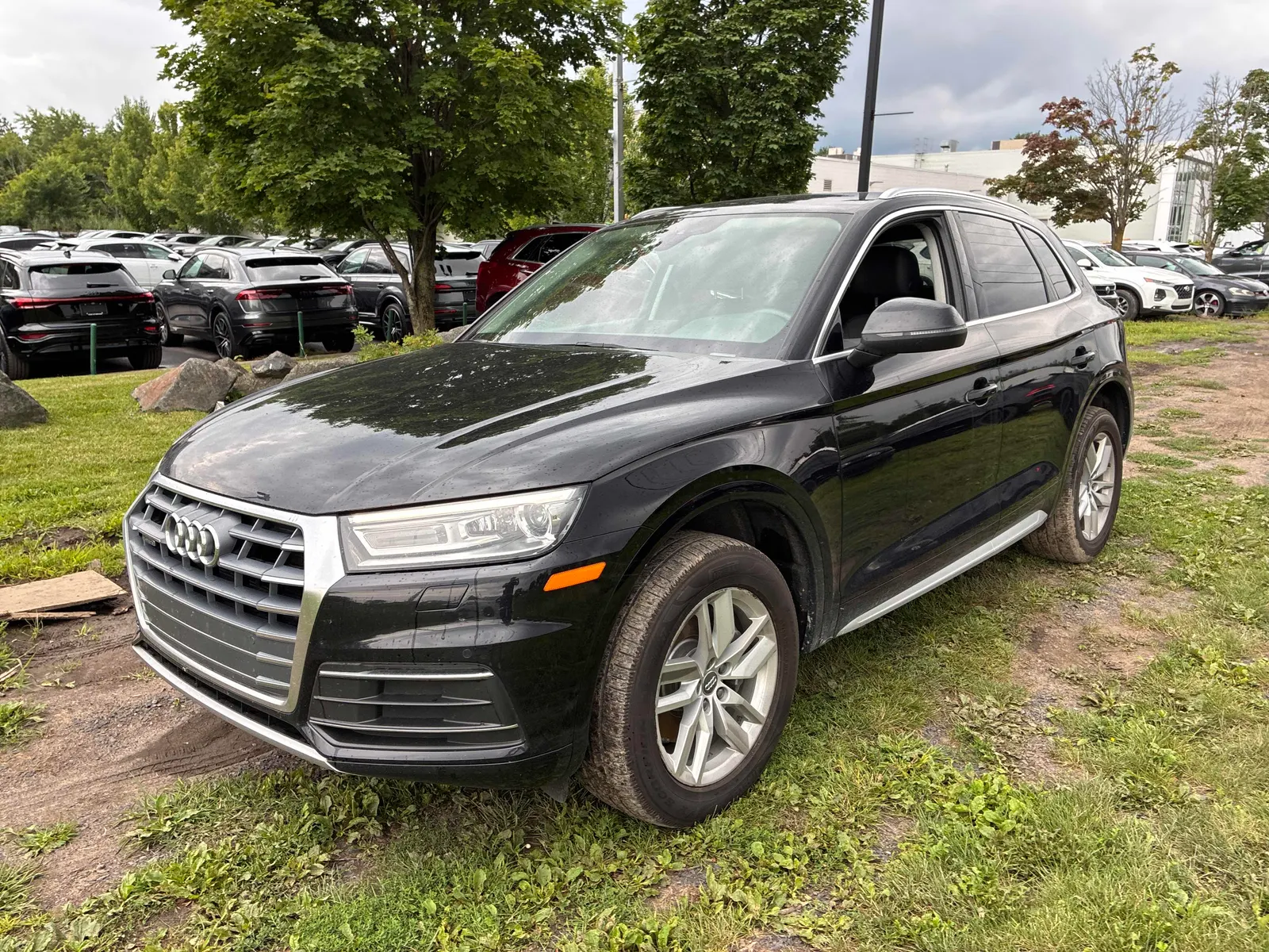 2020 Audi Q5