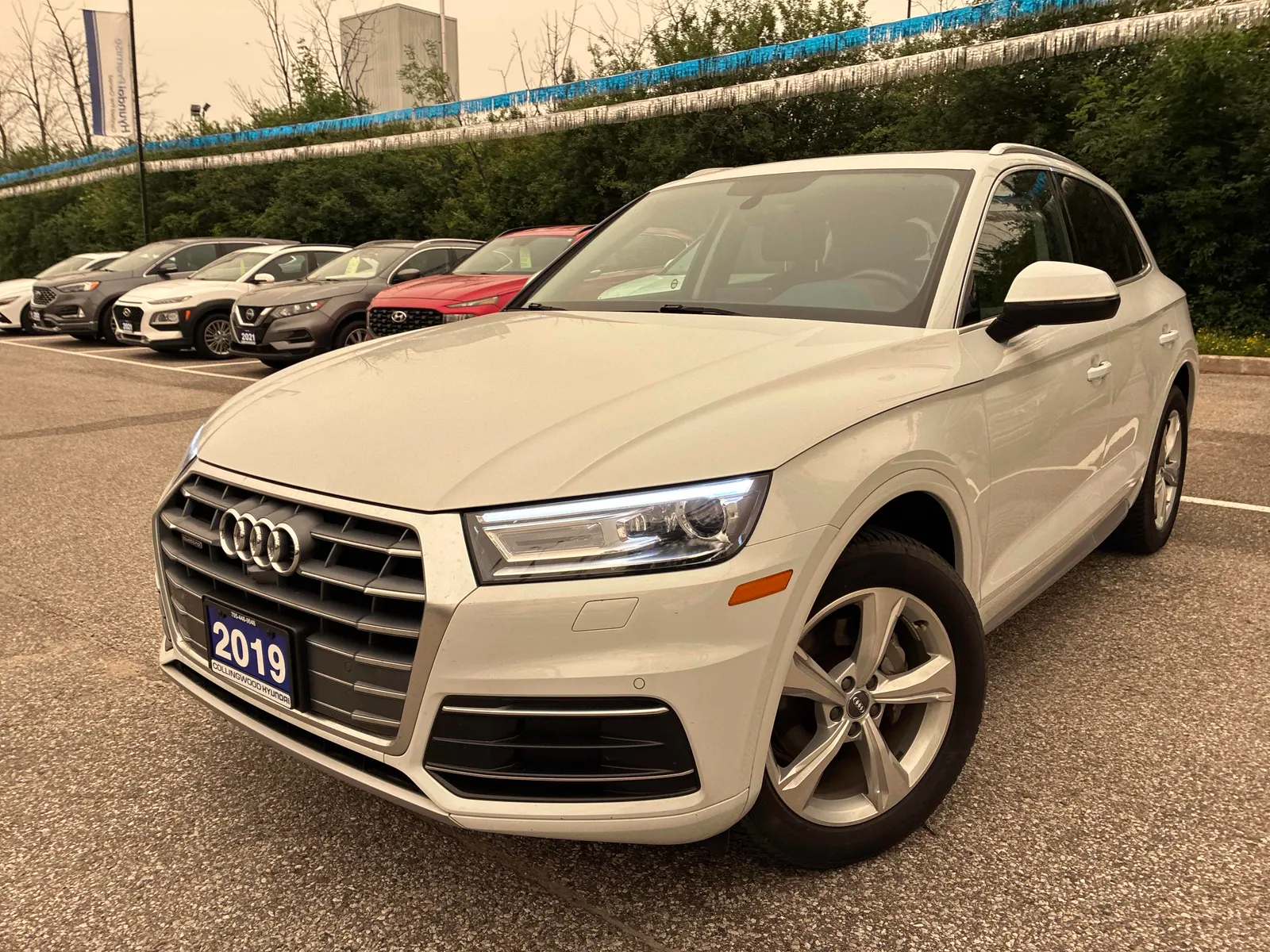 2019 Audi Q5