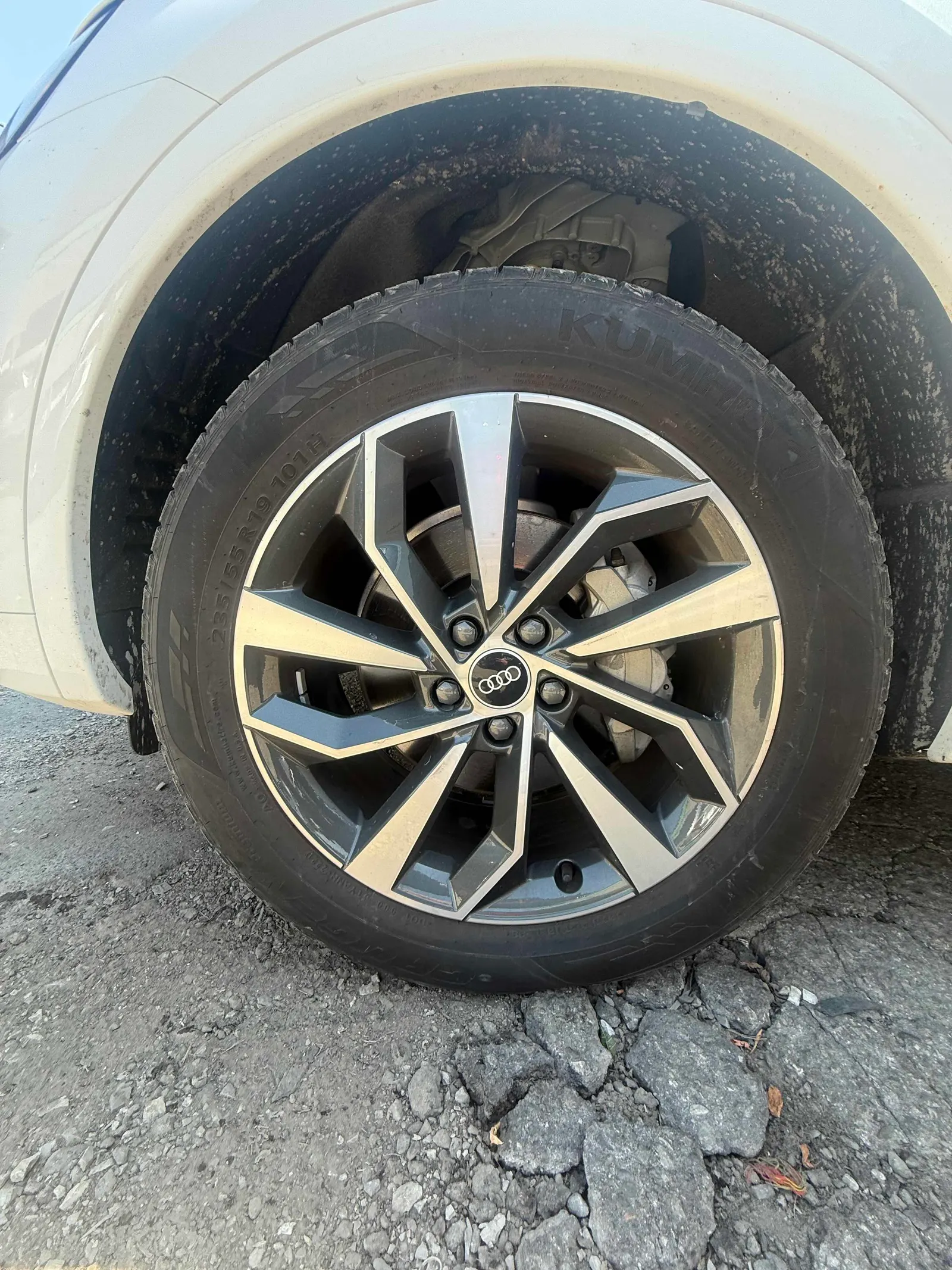 Tire