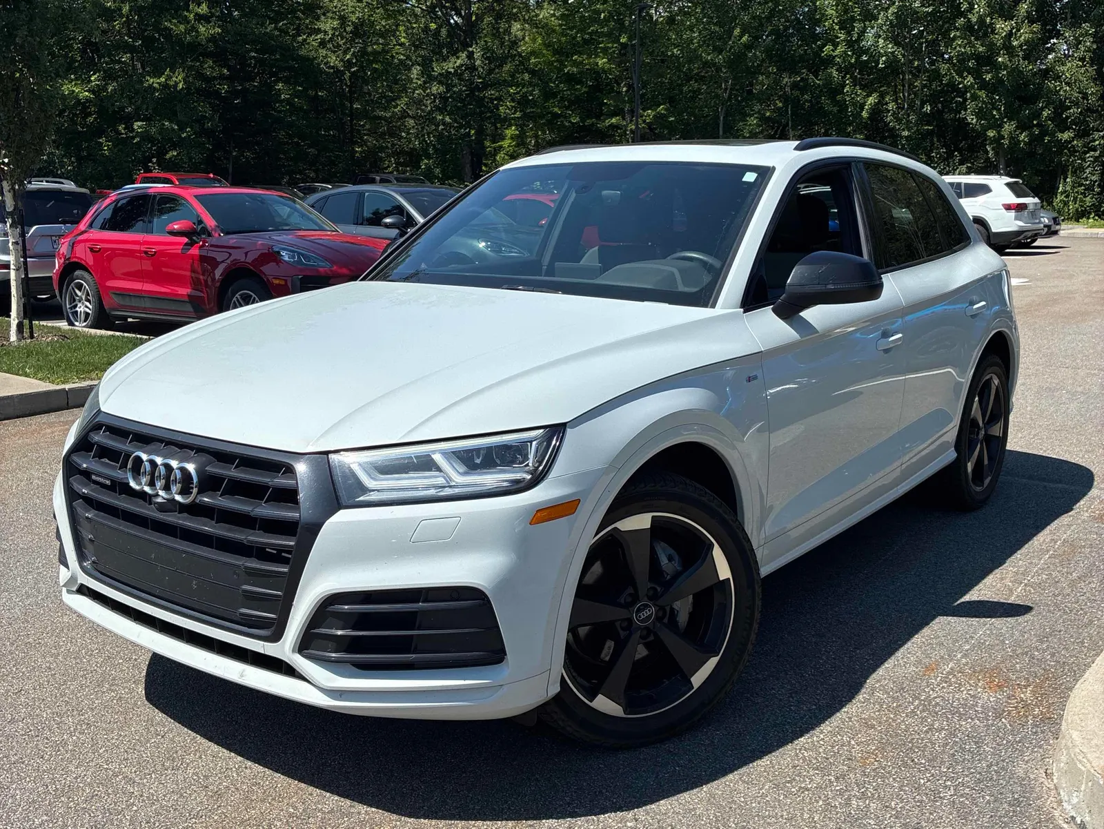2019 Audi Q5