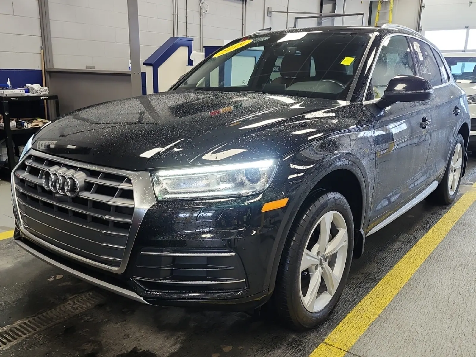 2019 Audi Q5