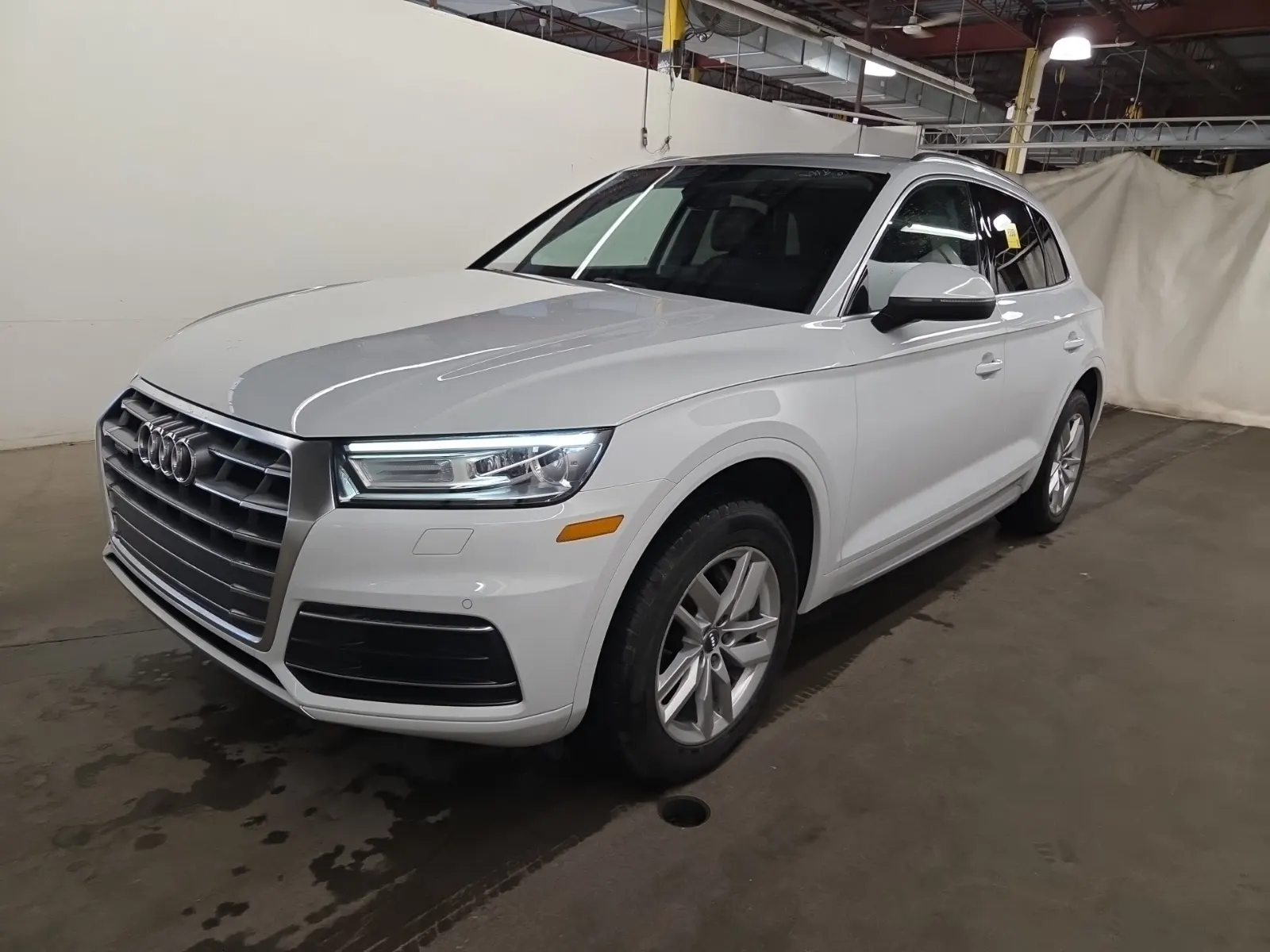 2019 Audi Q5