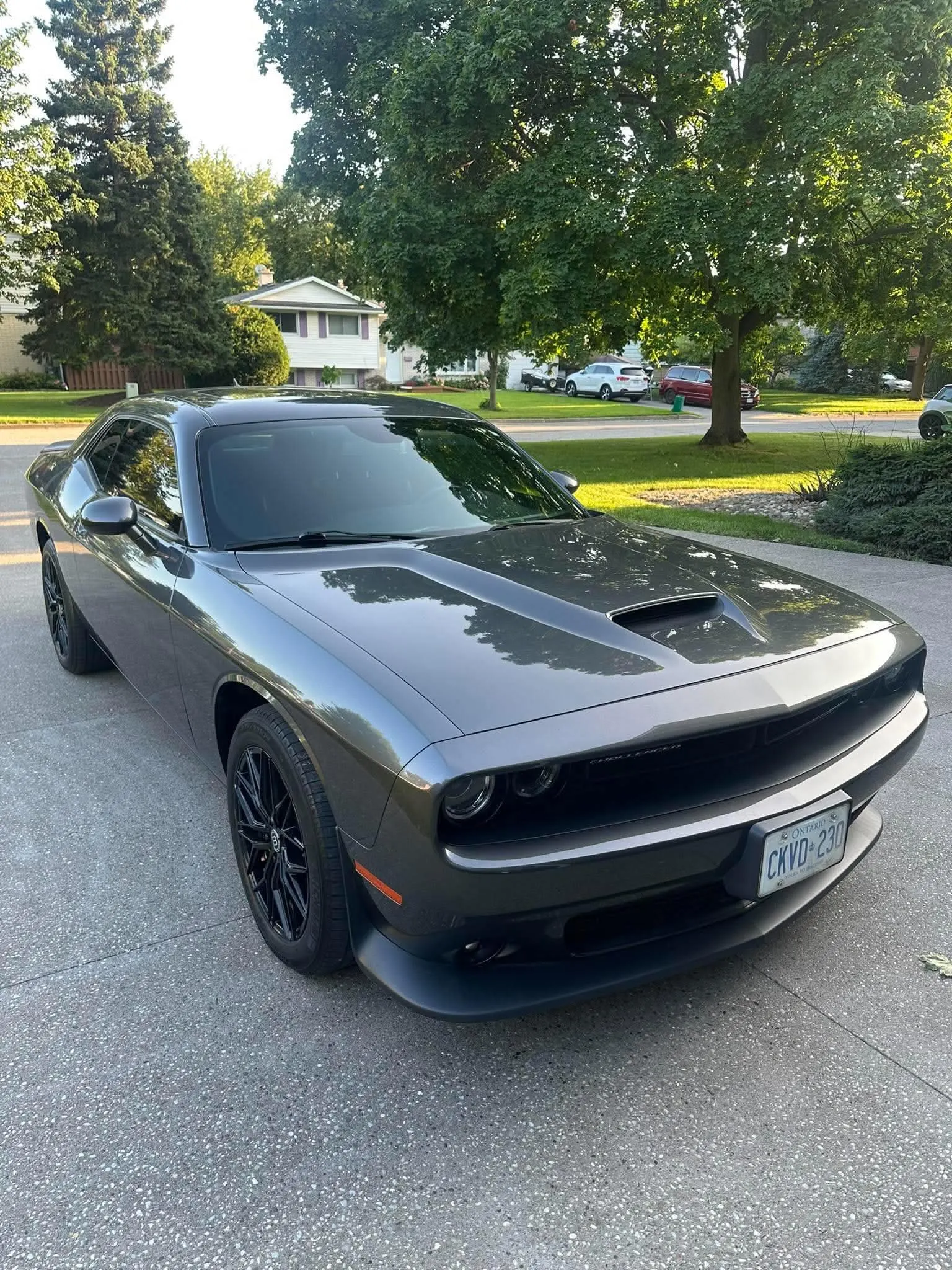 2019 Dodge Challenger