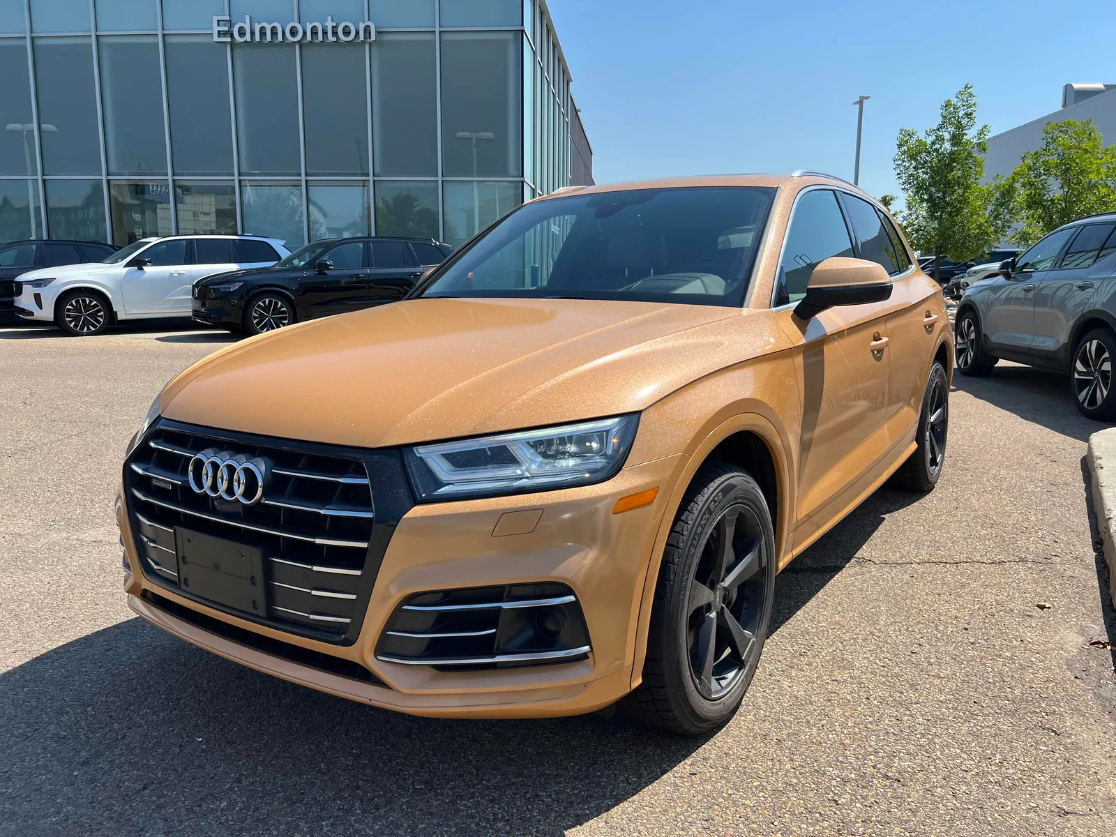 2020 Audi Q5