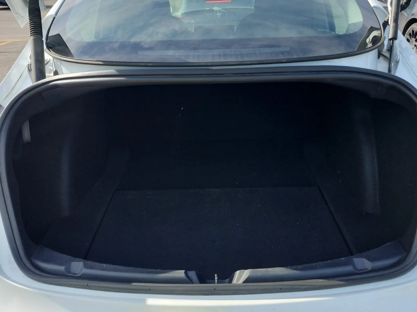 Cargo Area Photo