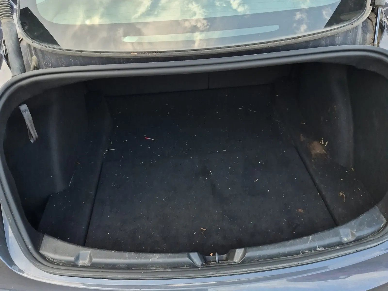 Cargo Area Photo