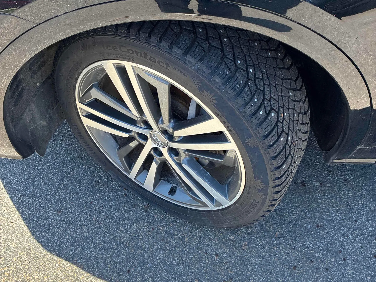 Tire