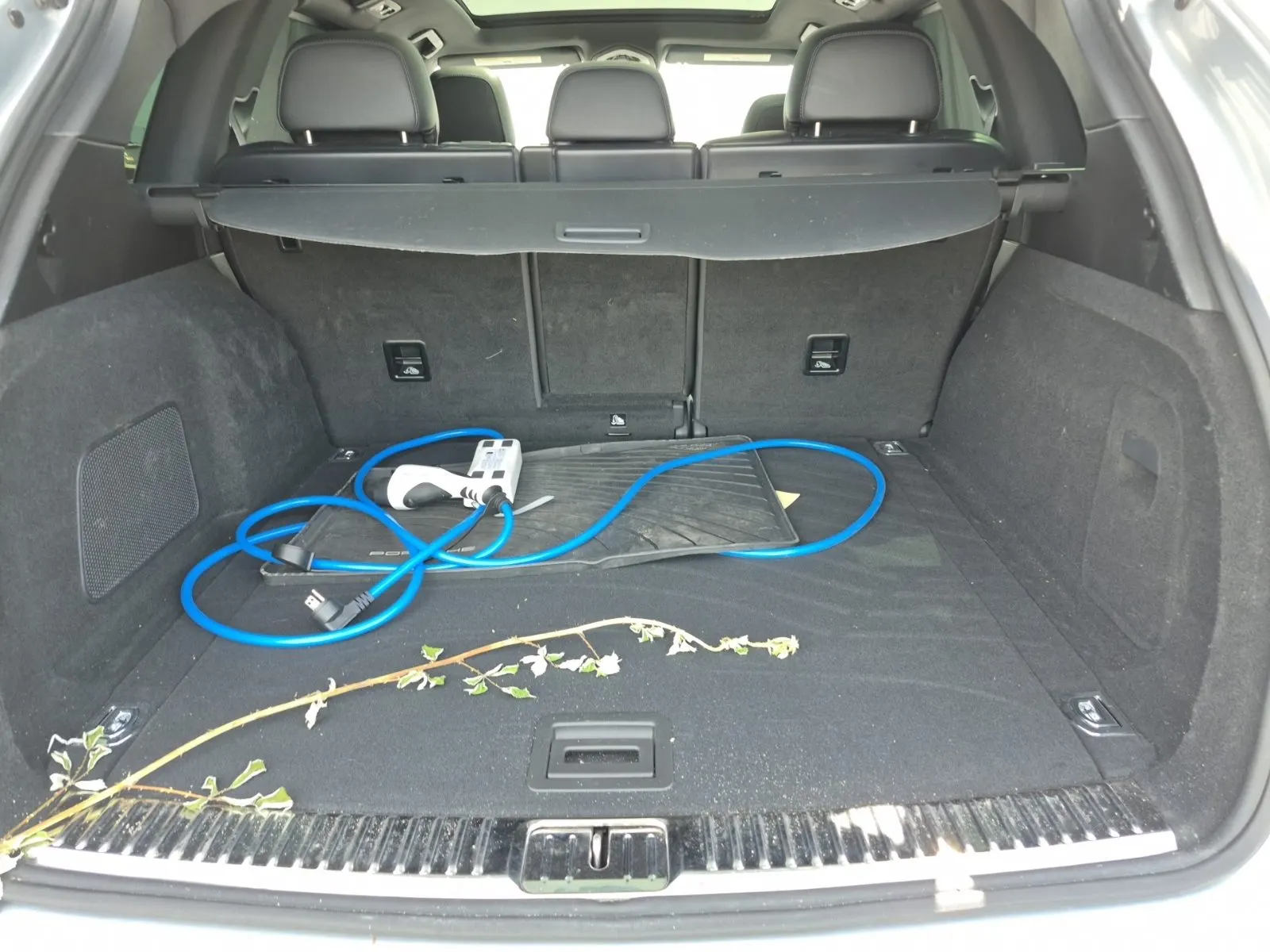 Cargo Area Photo