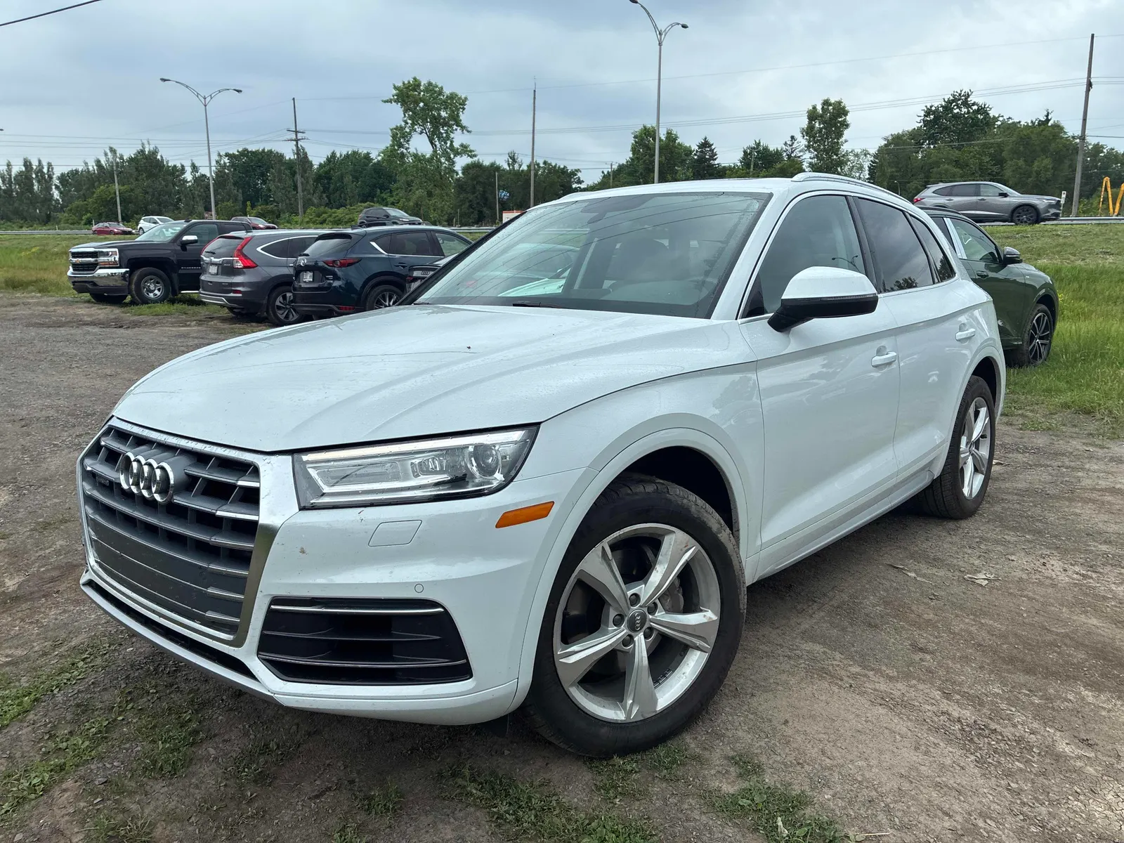 2019 Audi Q5