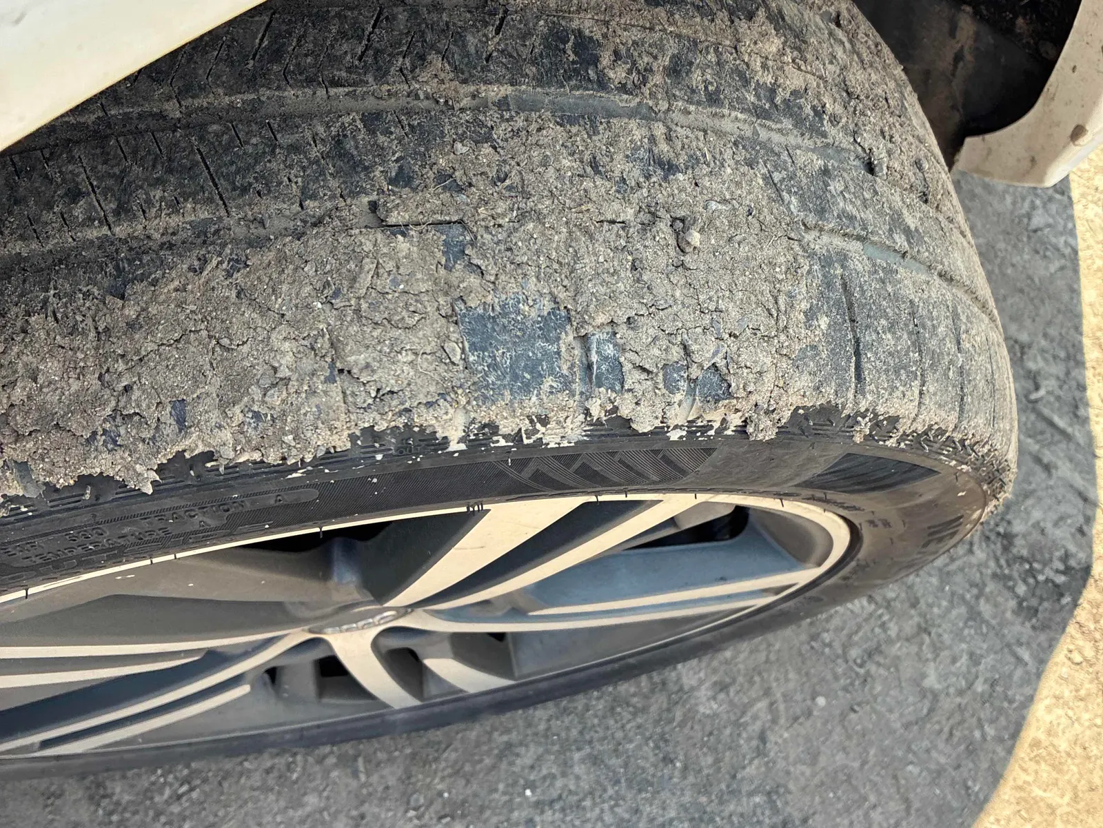 Tire