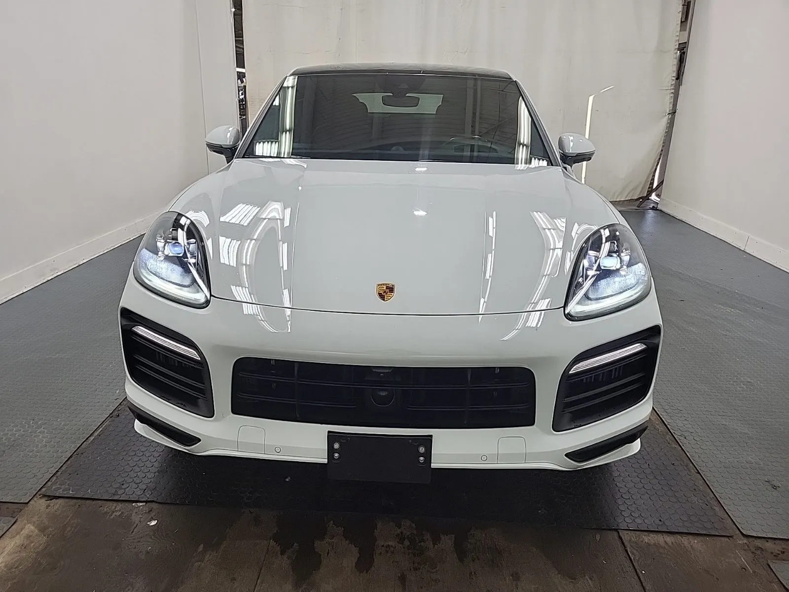 Full Front Photo