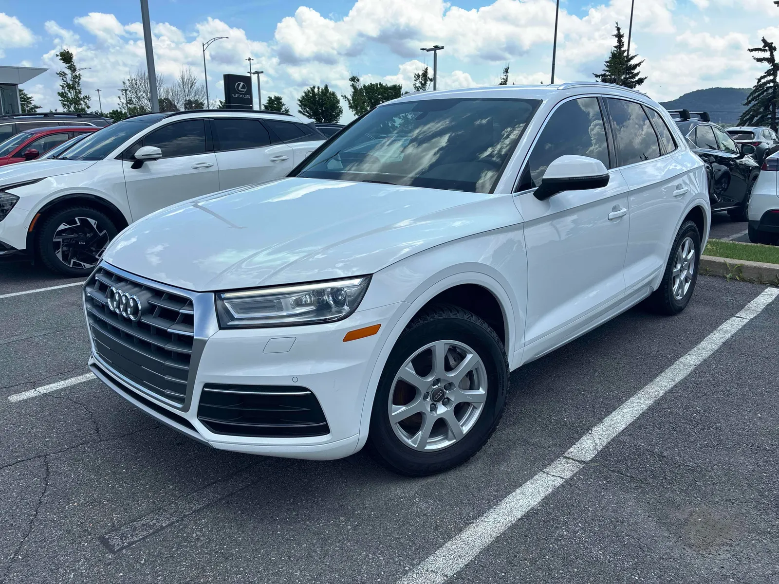 2019 Audi Q5
