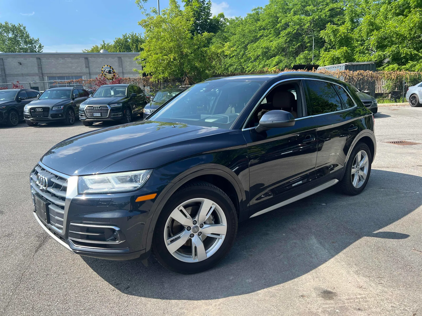 2019 Audi Q5