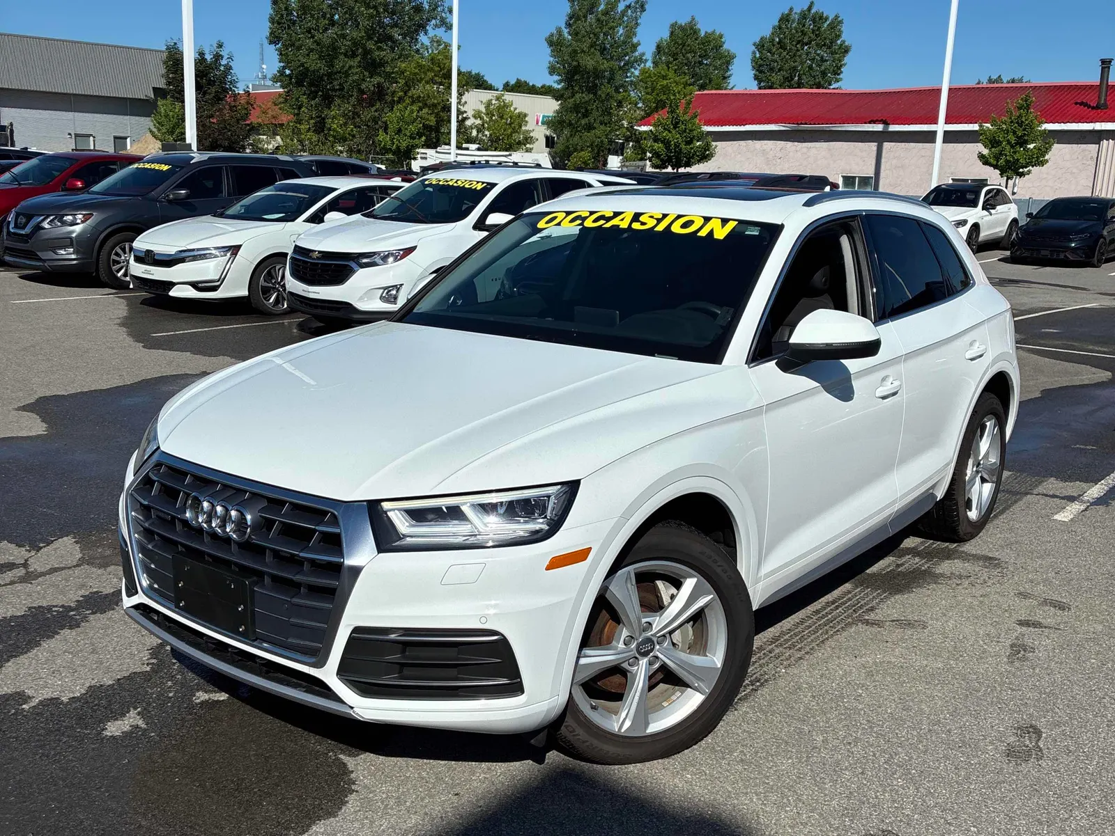 2020 Audi Q5