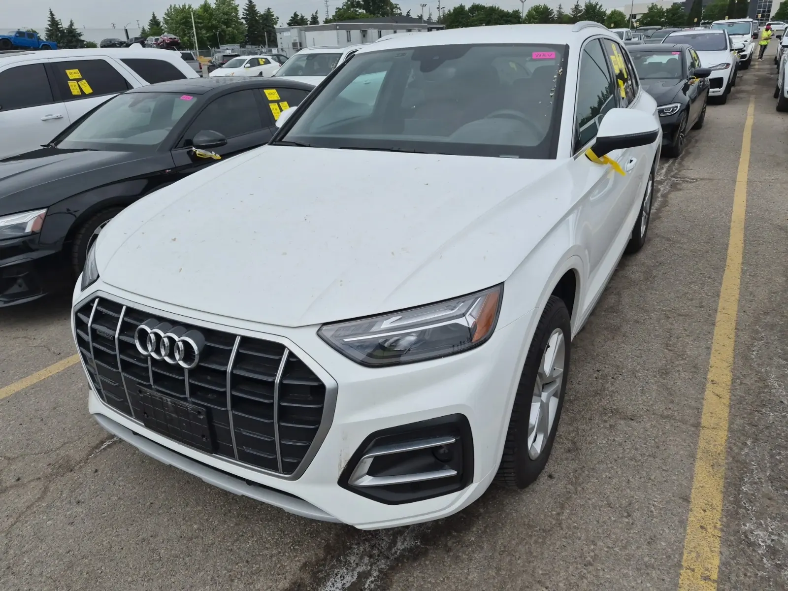 2022 Audi Q5