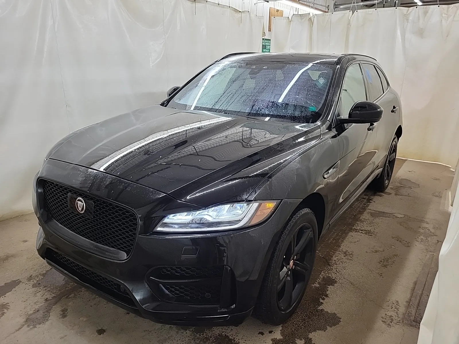 2019 Jaguar F-PACE