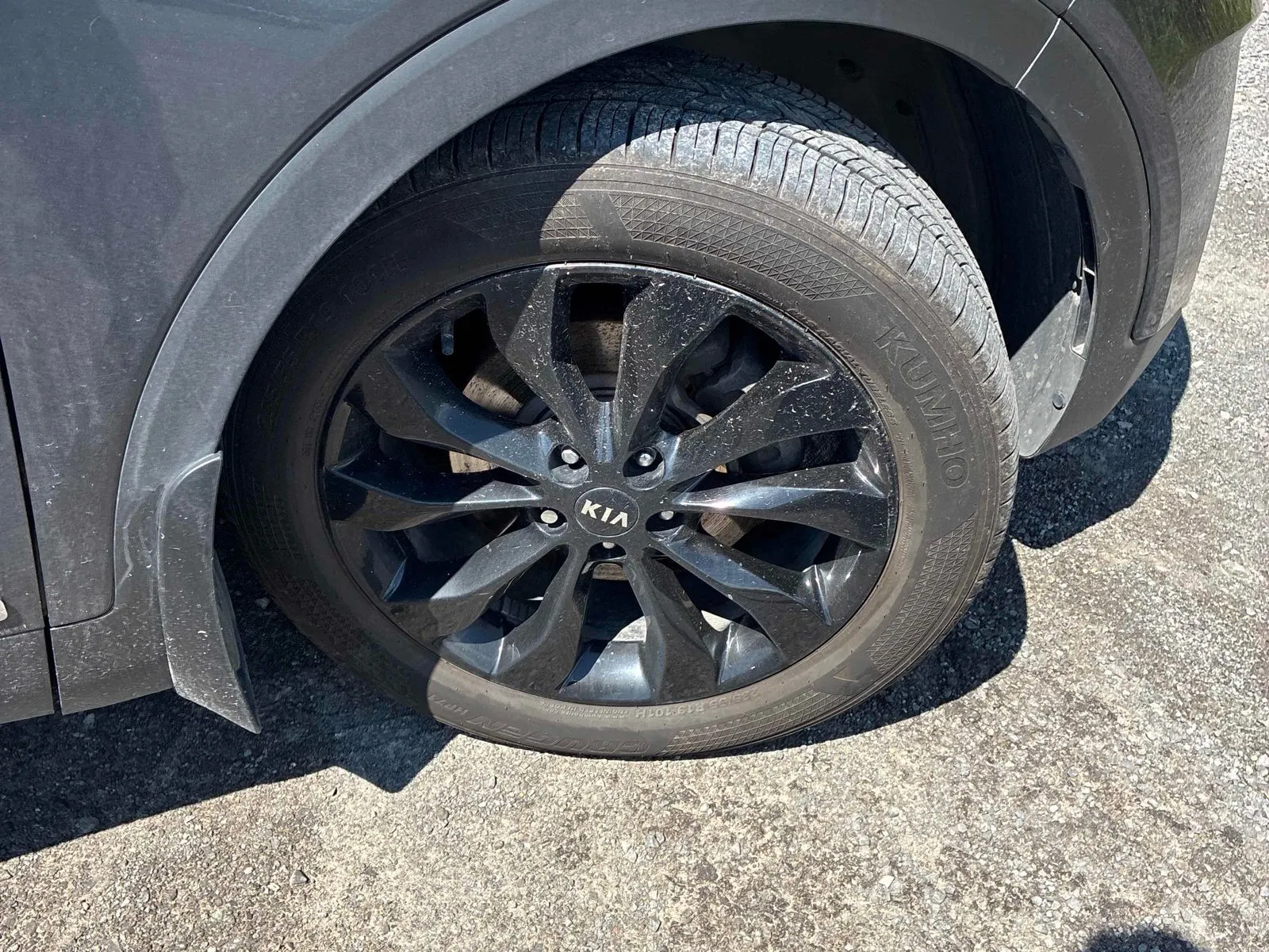 Tire