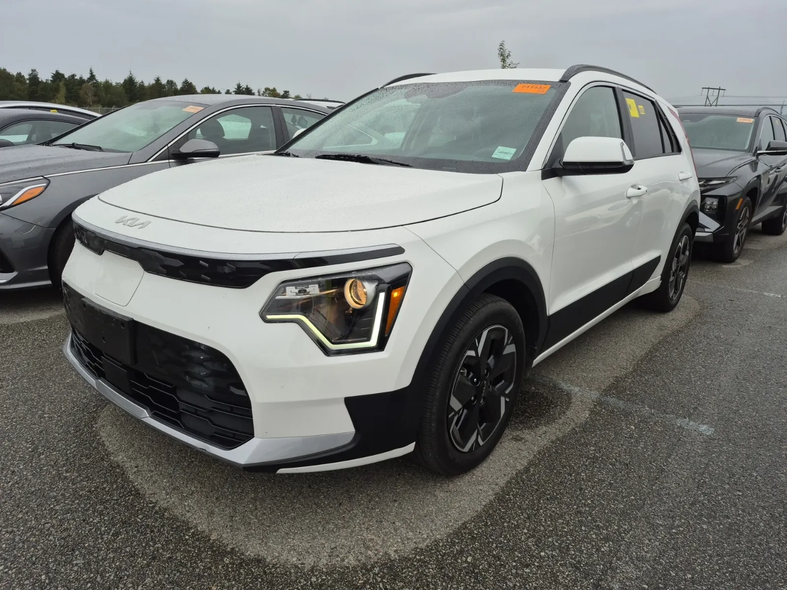 2024 Kia Niro EV