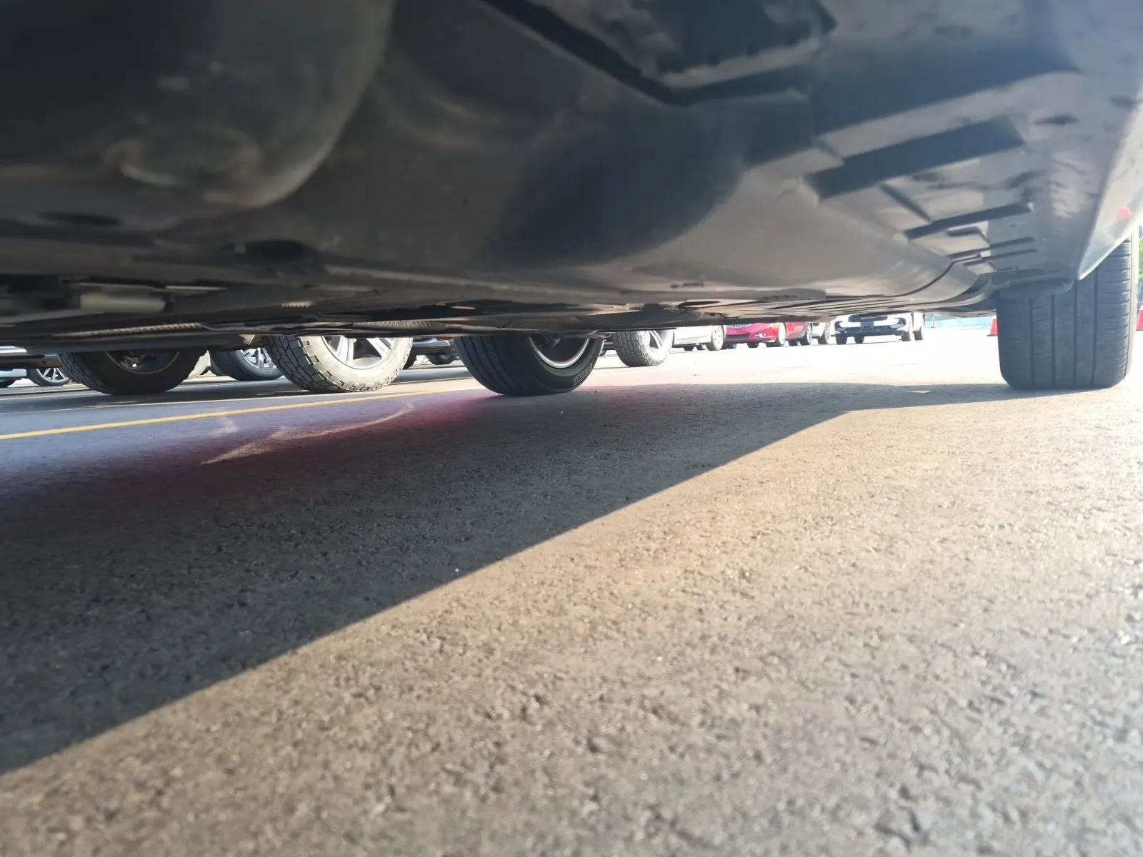 Undercarriage - Driver Photo