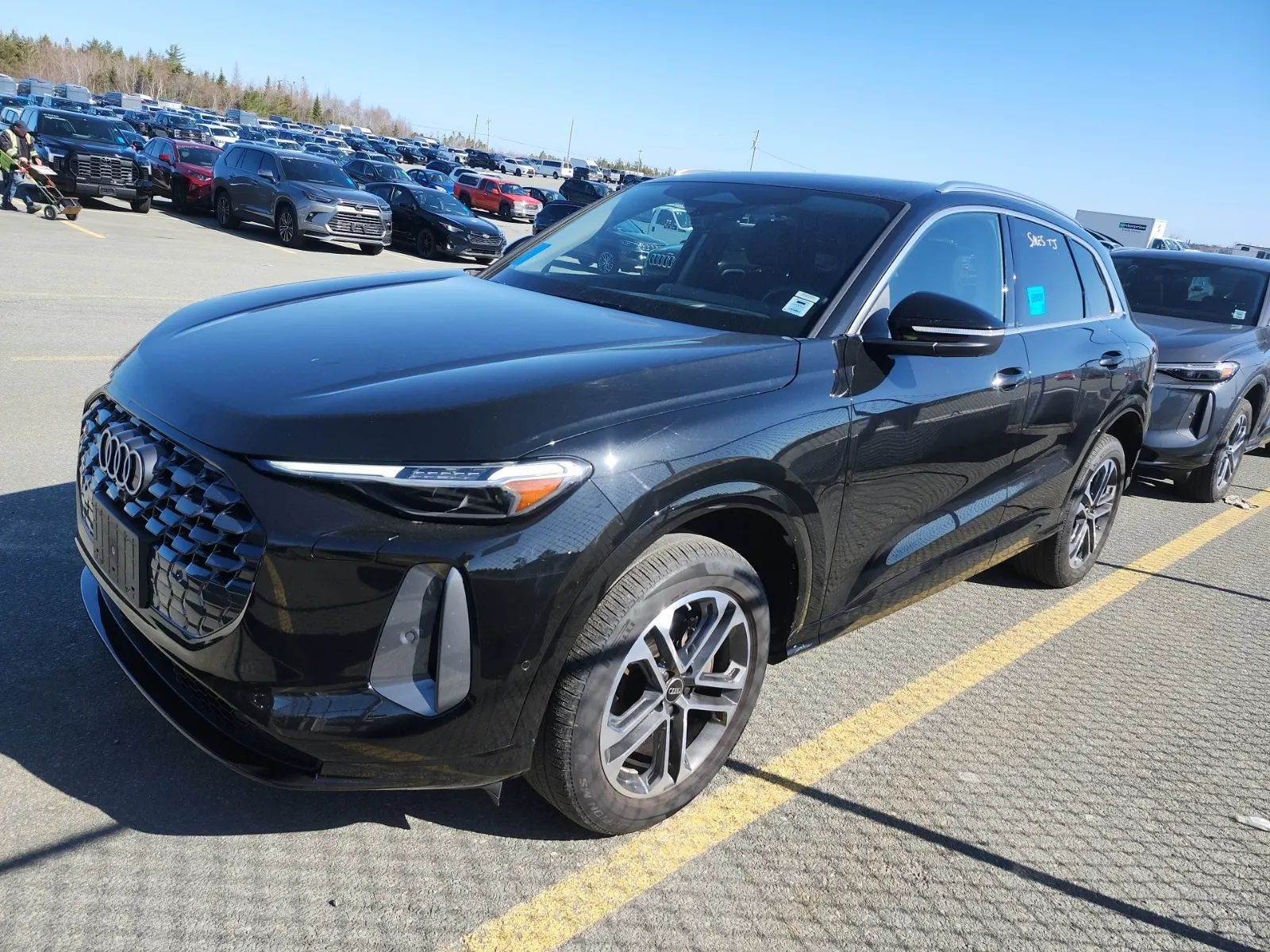 2025 Audi Q5