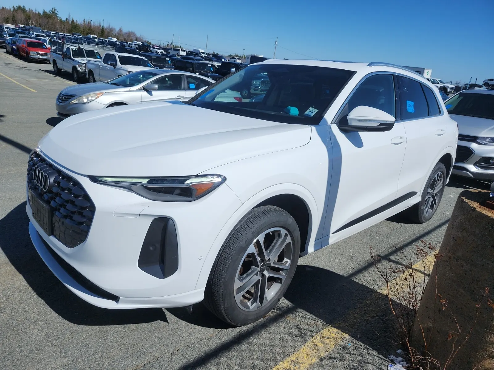 2025 Audi Q5