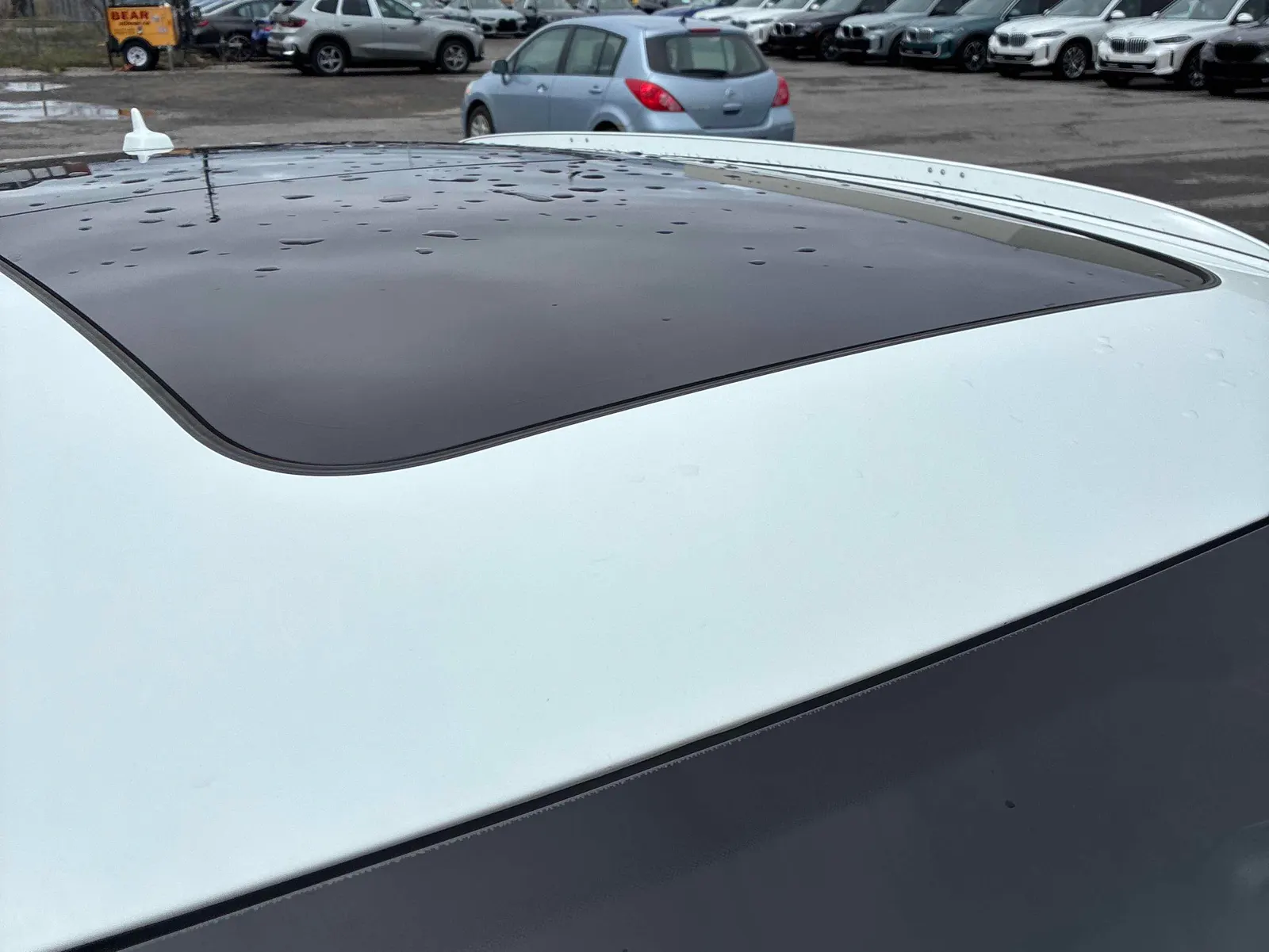 Additional Photo