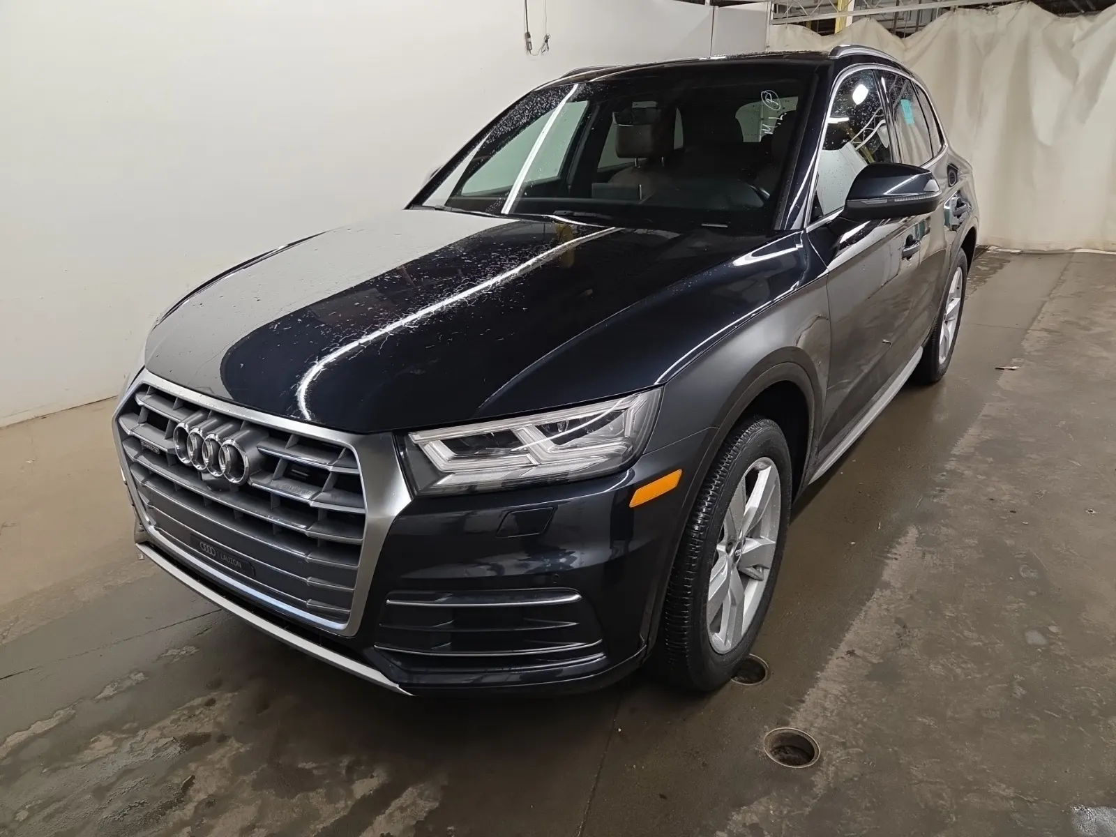 2019 Audi Q5
