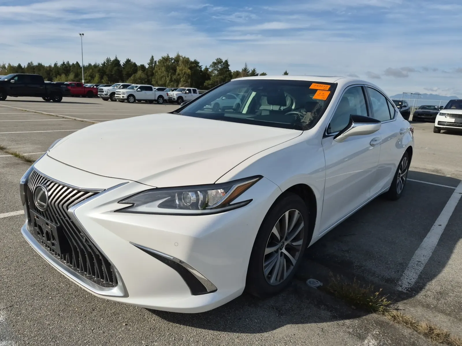 2020 Lexus ES