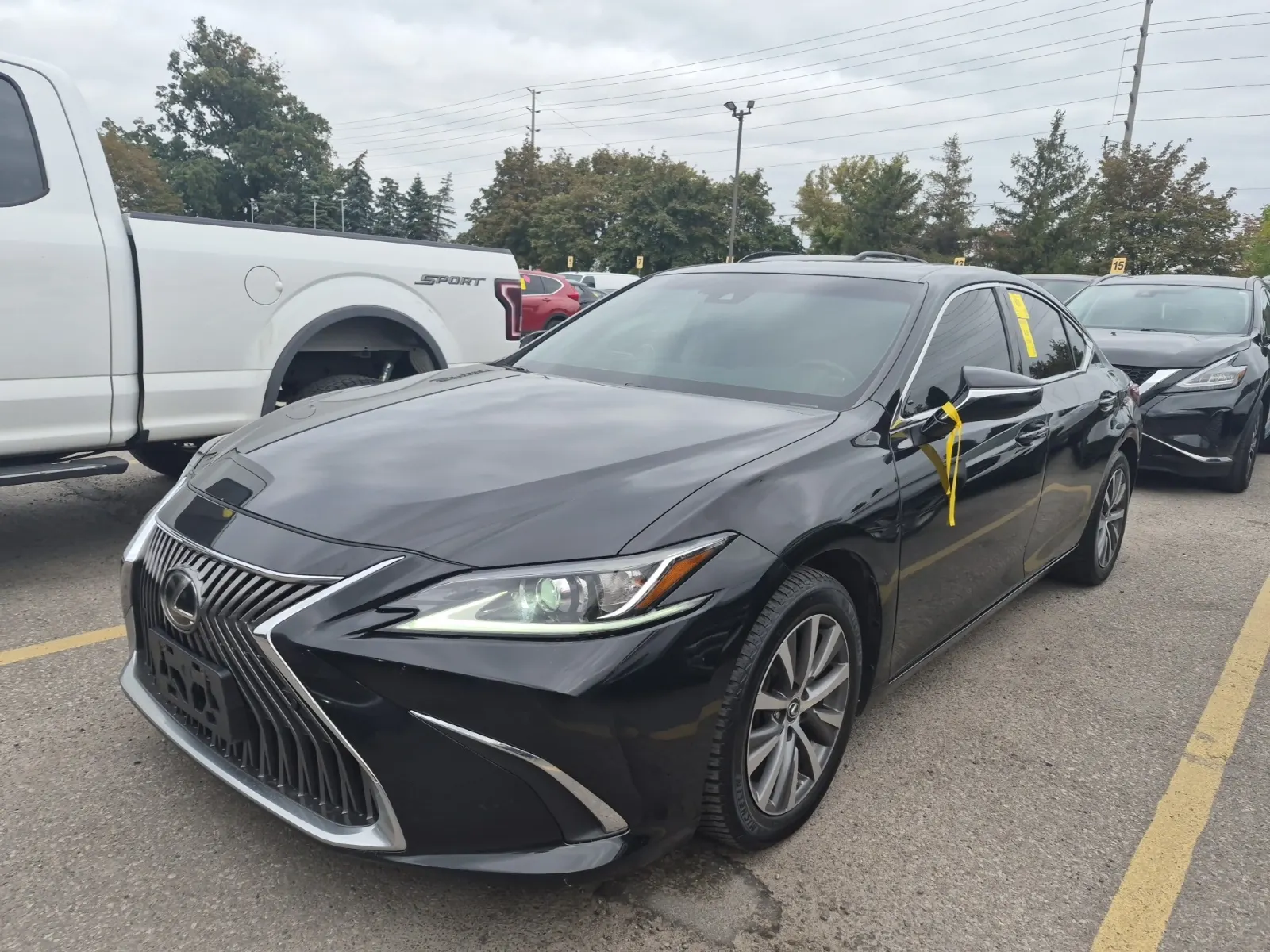 2019 Lexus ES