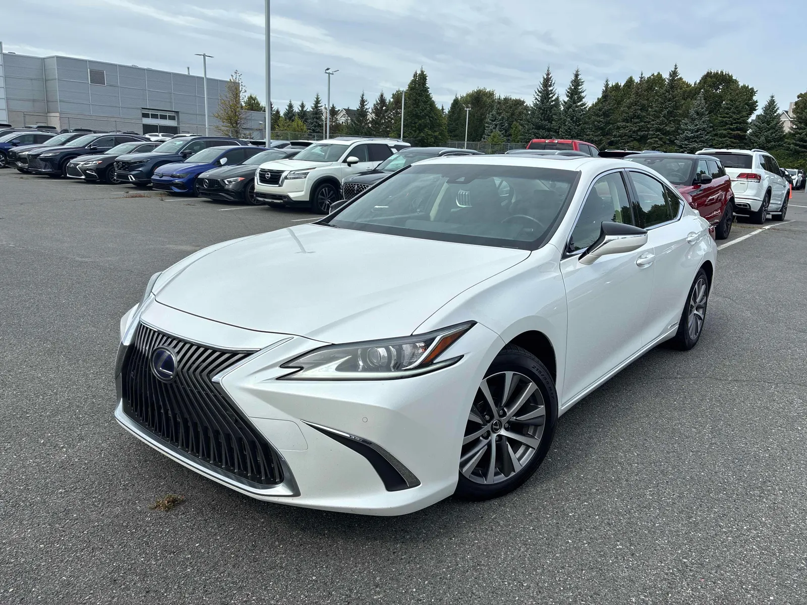 2019 Lexus ES